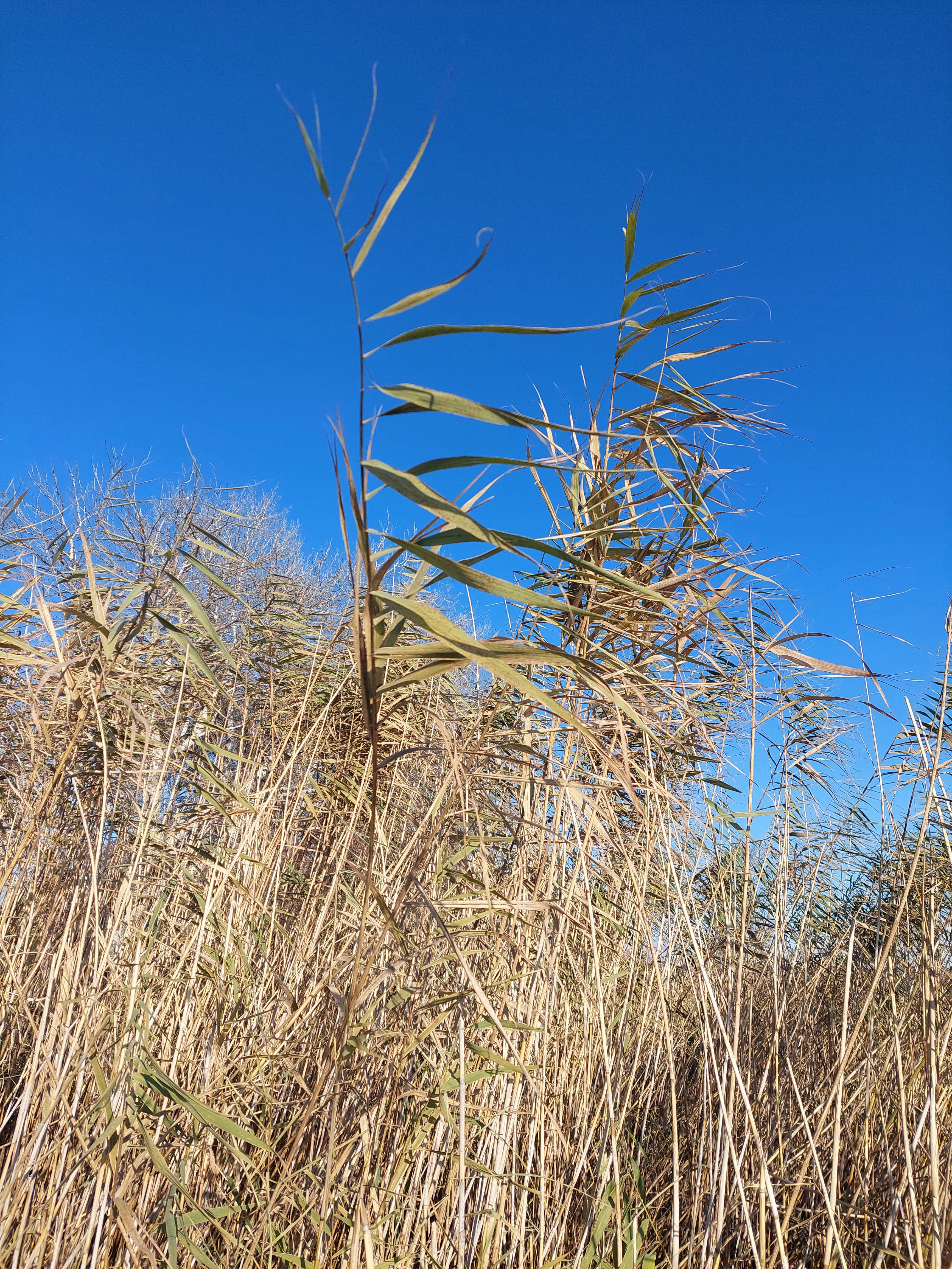 Photo by anna_kharkivska