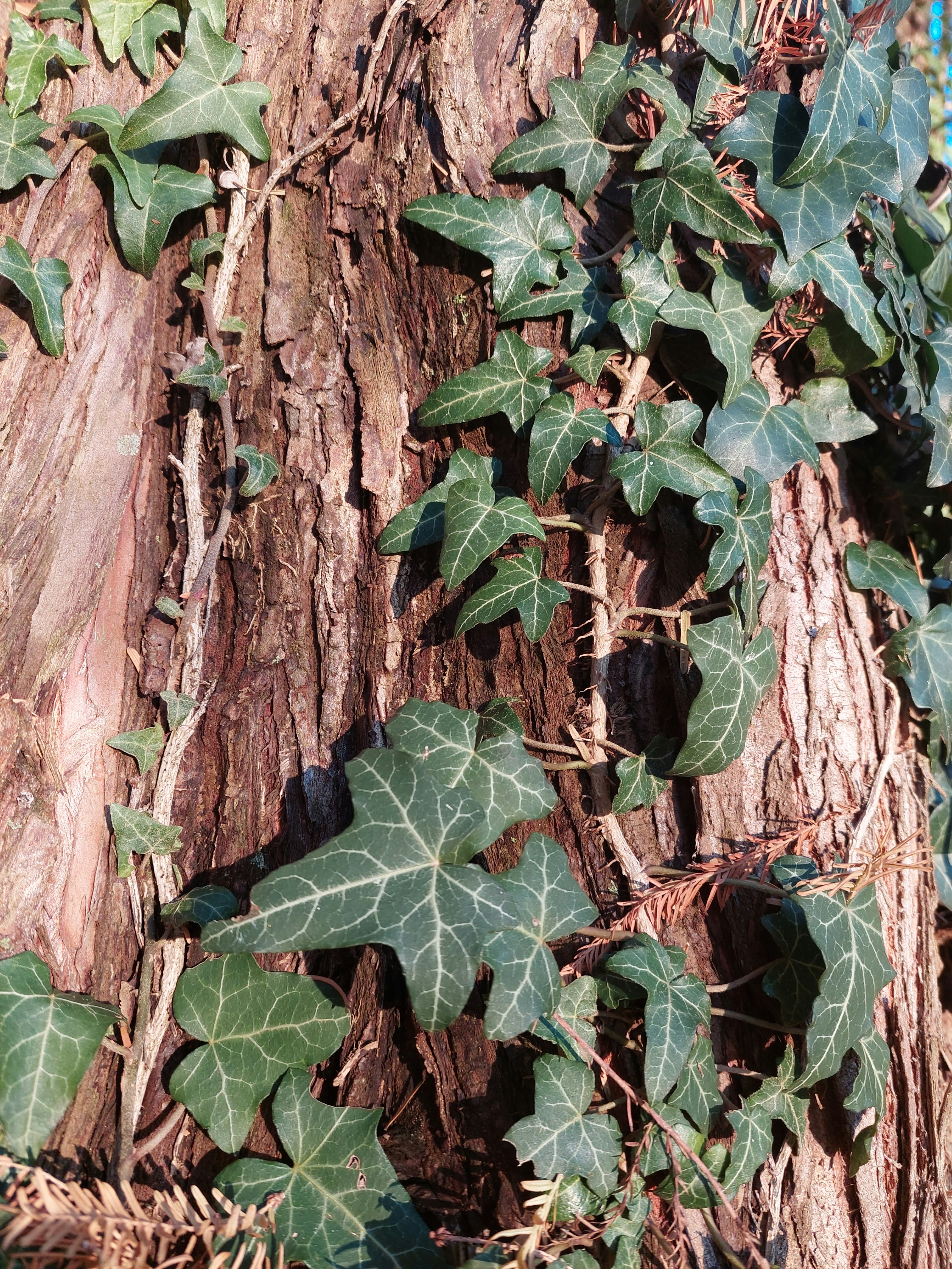 Photo by anna_kharkivska