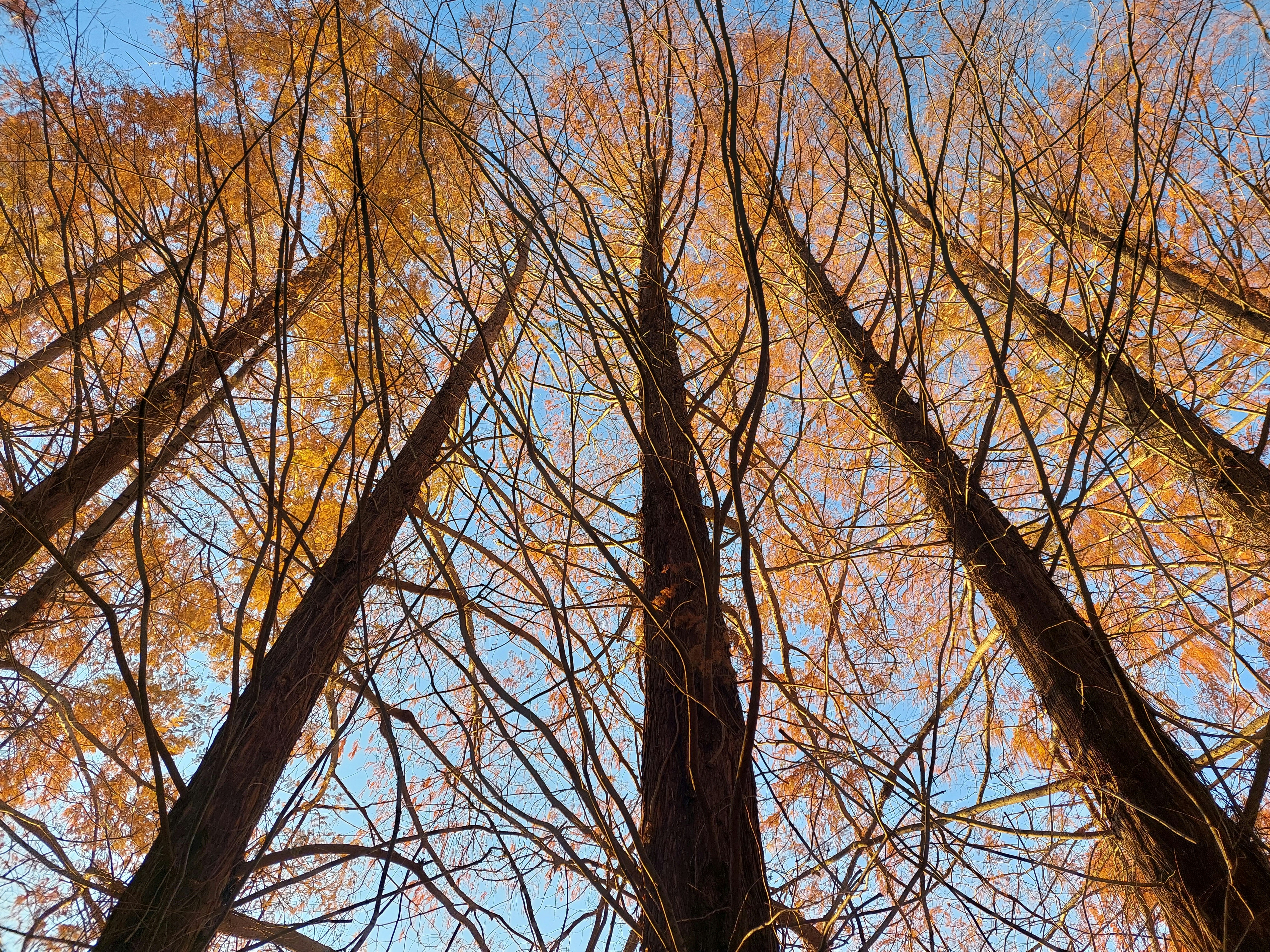 Photo by anna_kharkivska