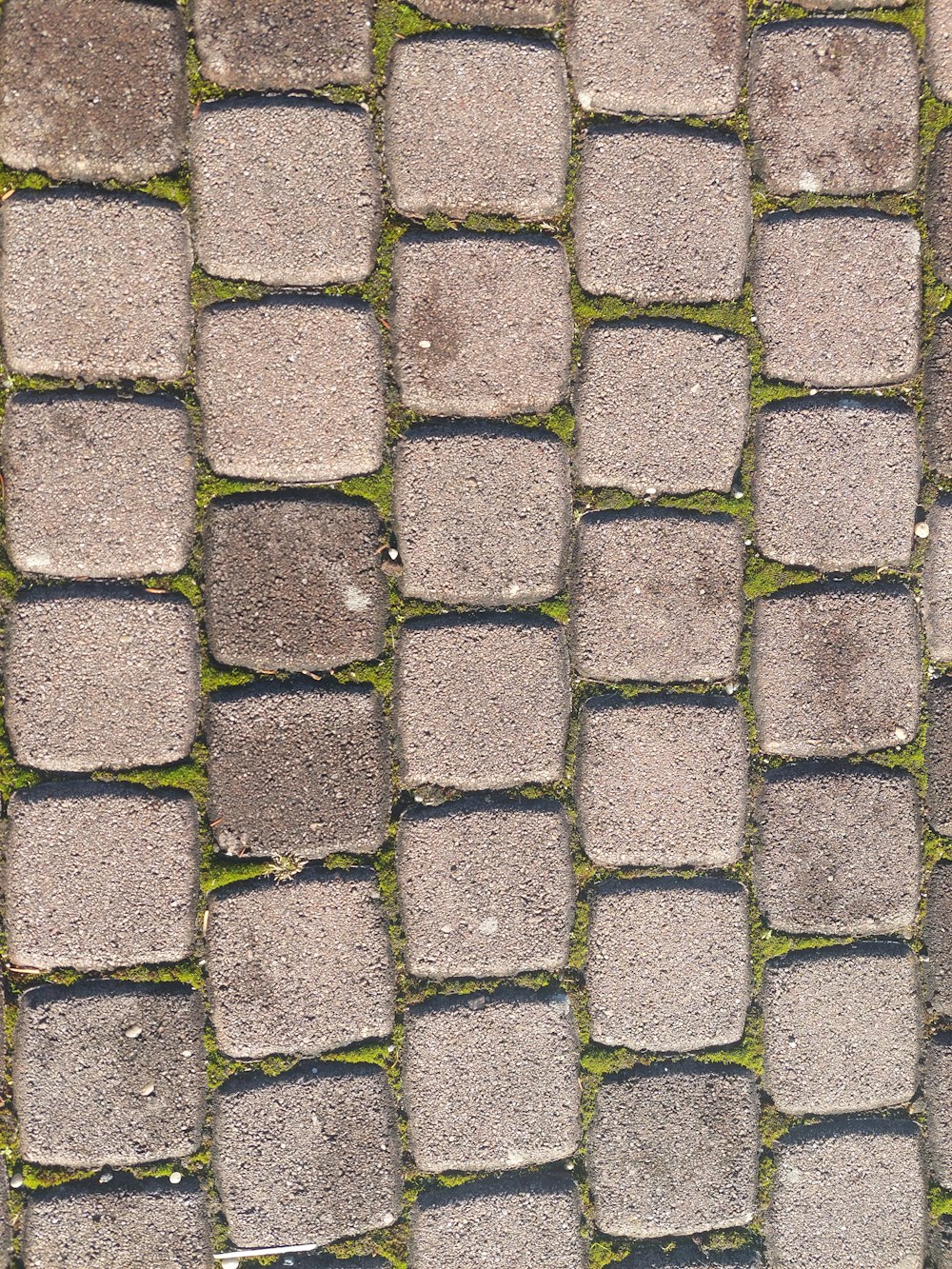 a close up of a cobblestone street with grass growing on it