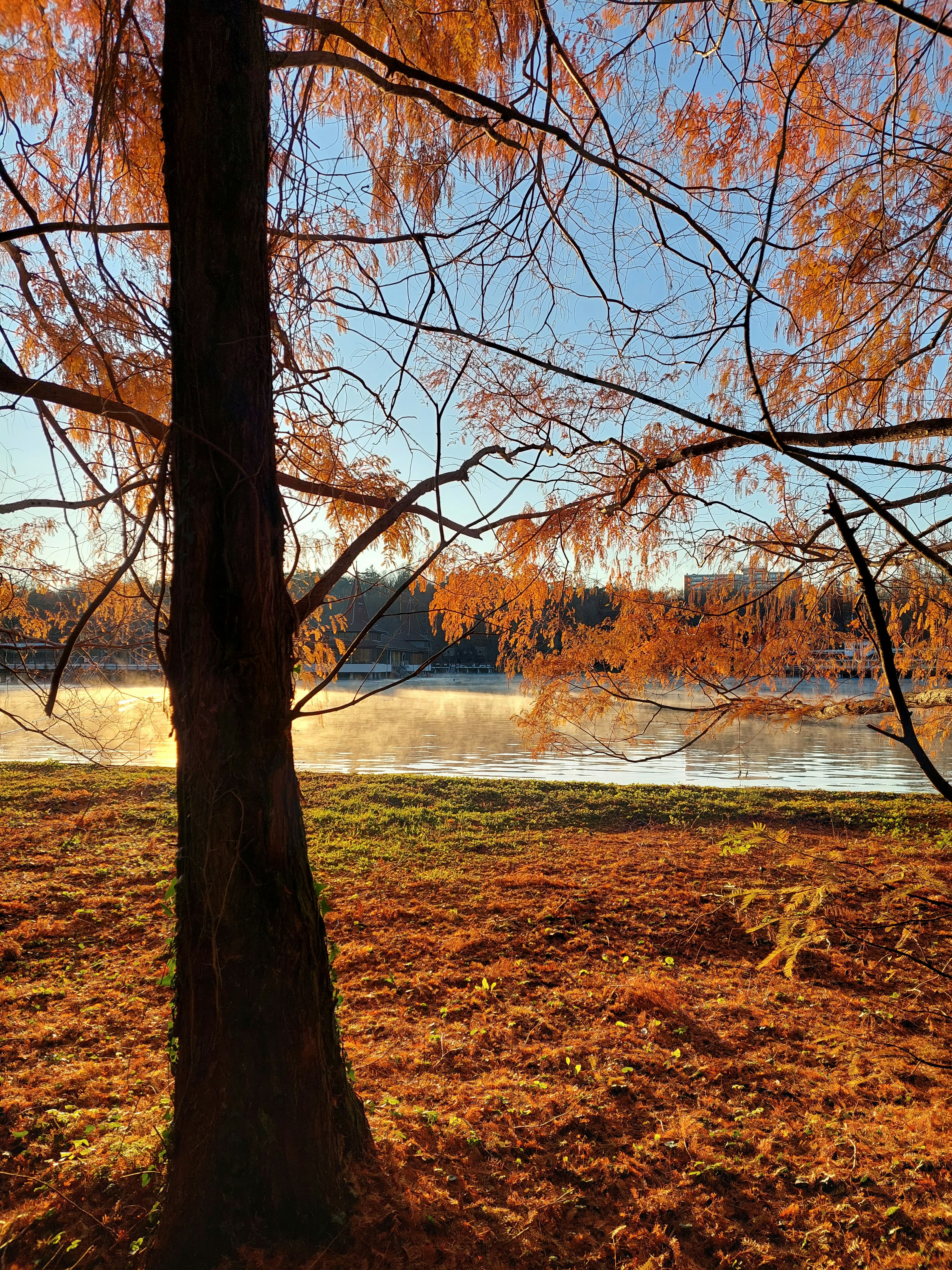 Photo by anna_kharkivska