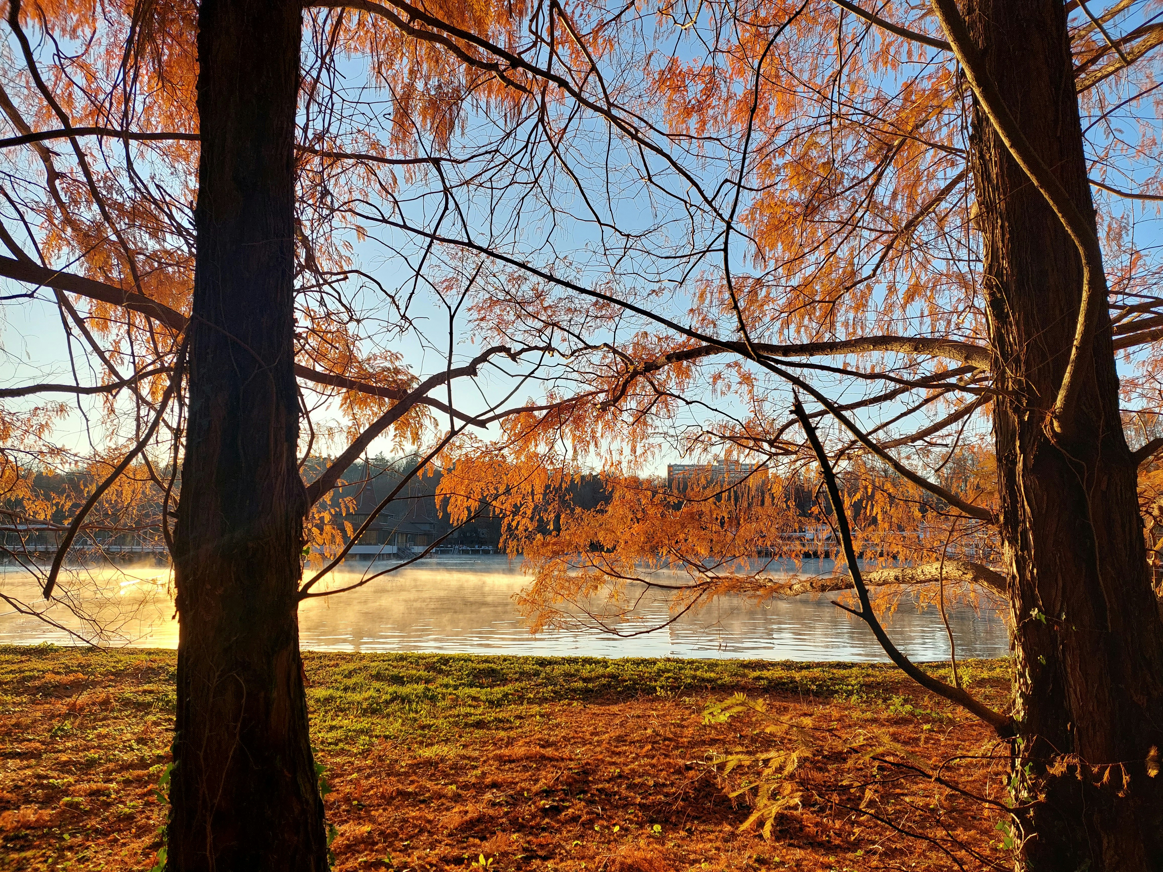 Photo by anna_kharkivska