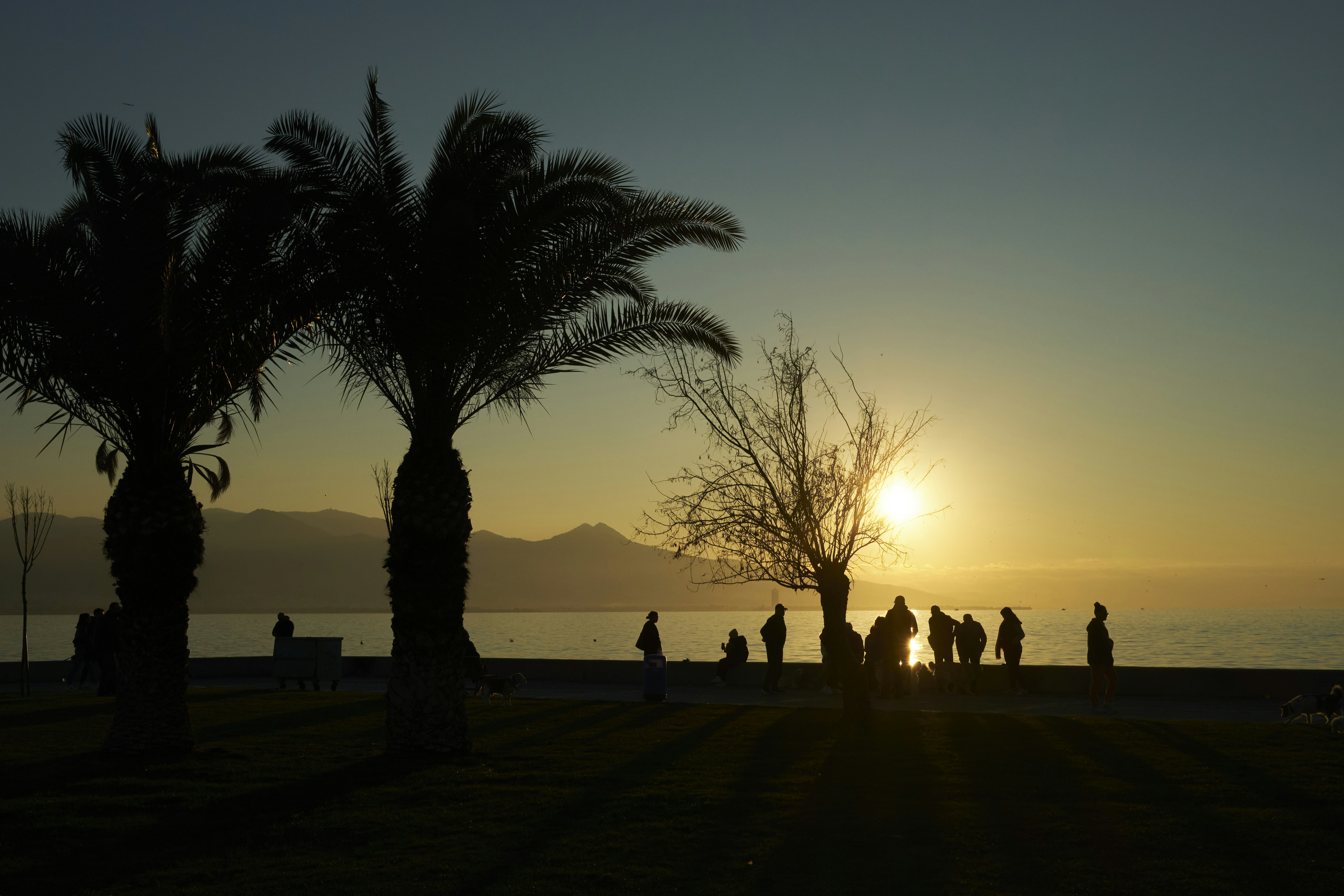 a group of people standing on top of a lush green field