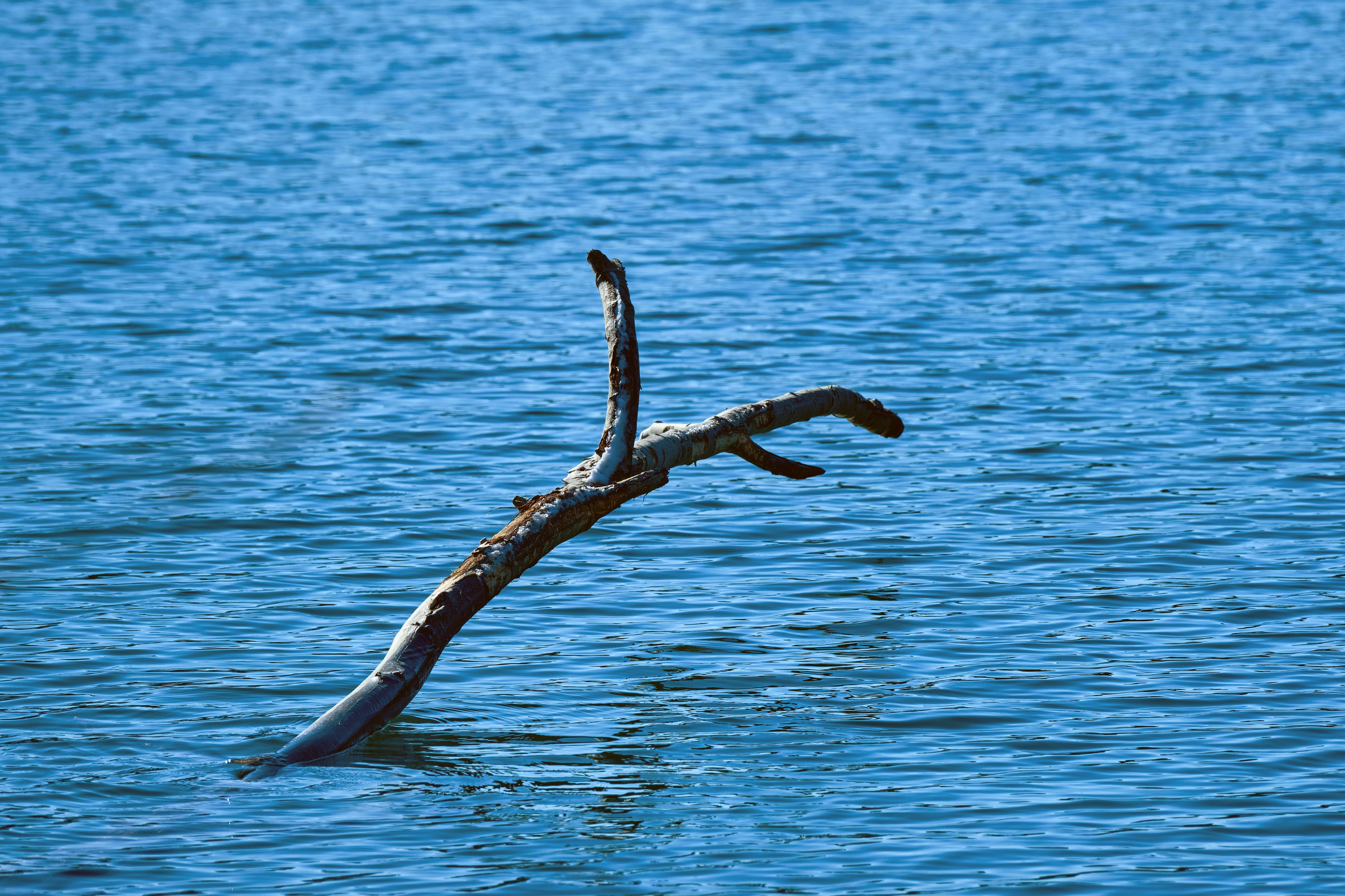 Photo by marcus_ganahl