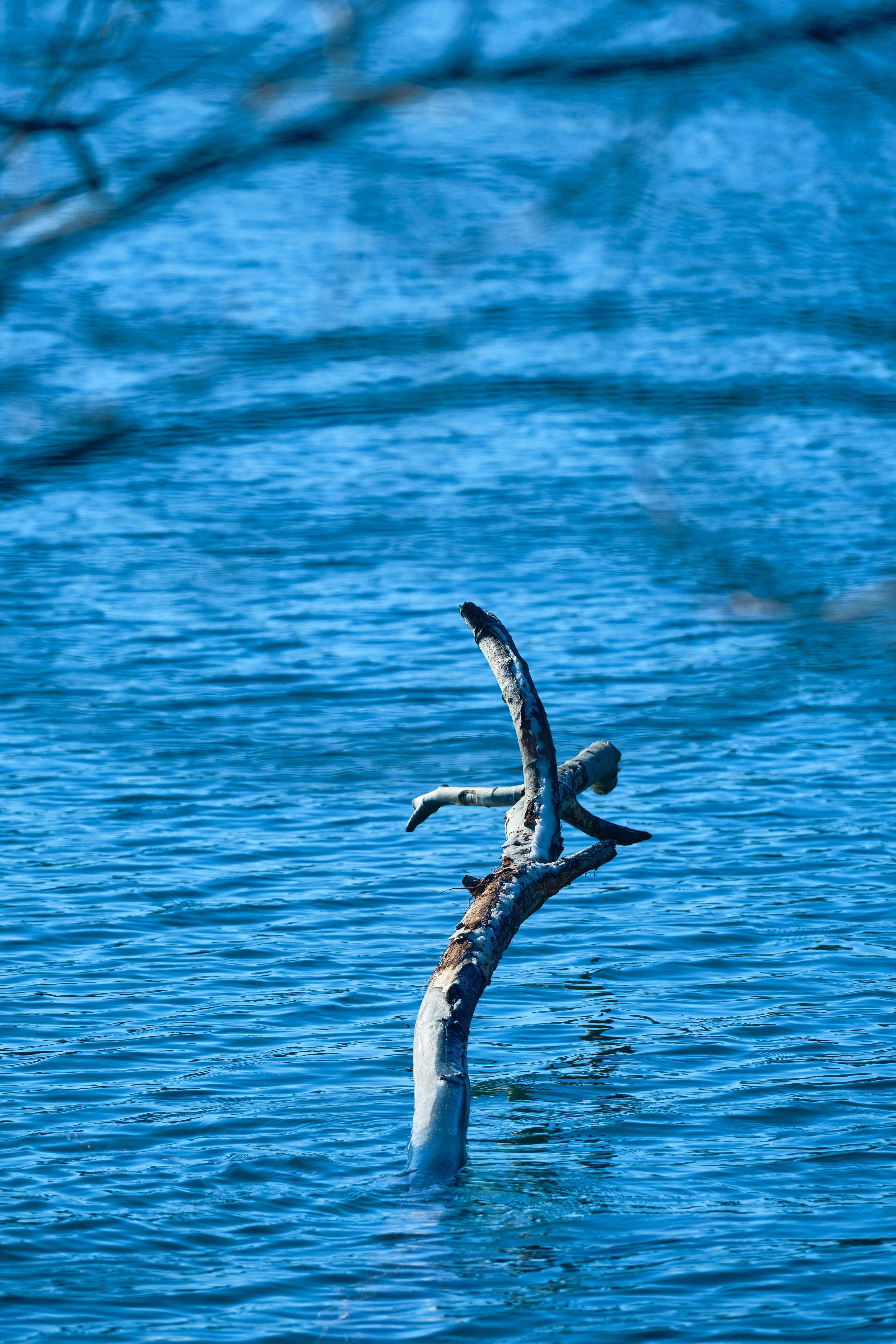 Photo by marcus_ganahl