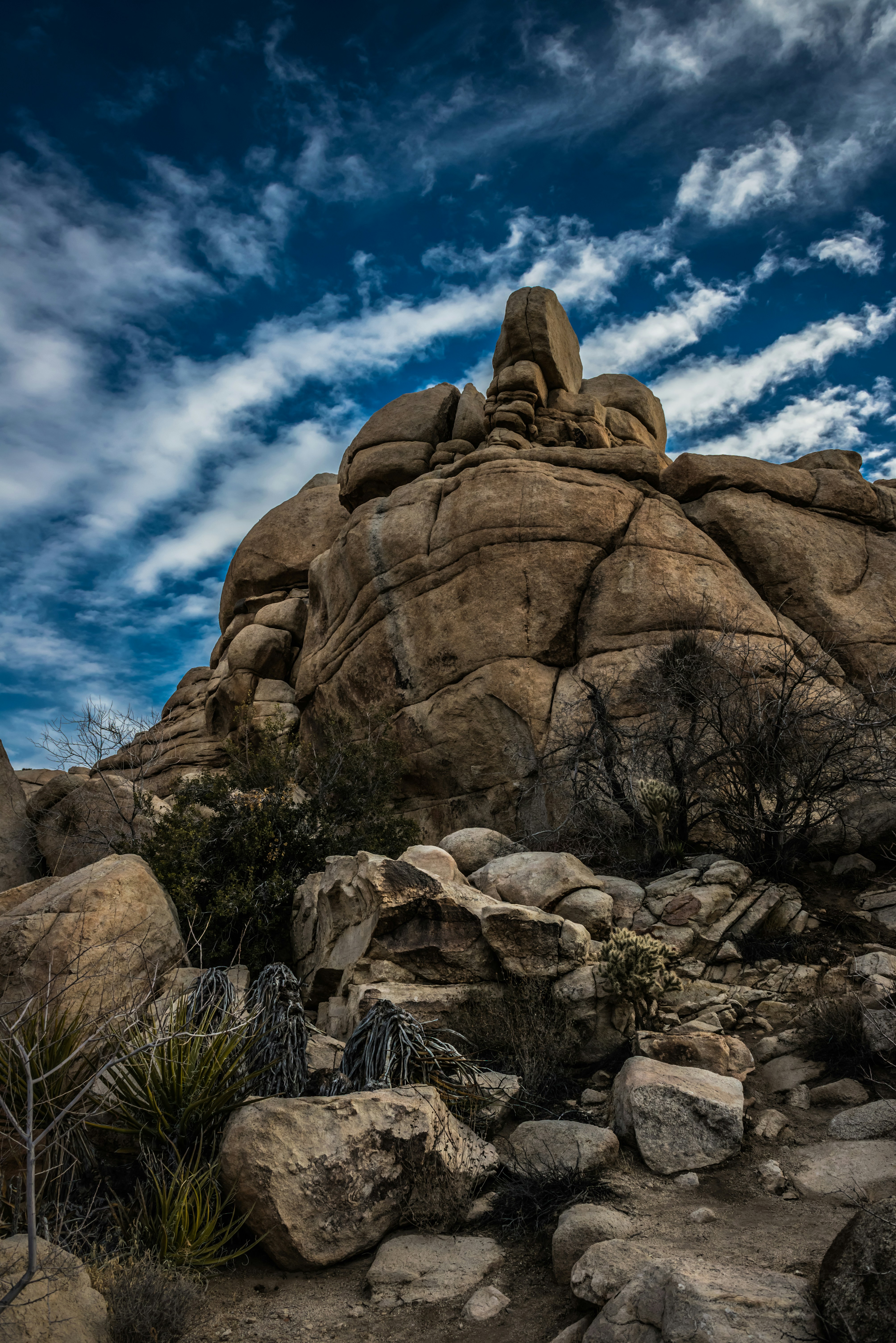 Photo by fortuitousfoto