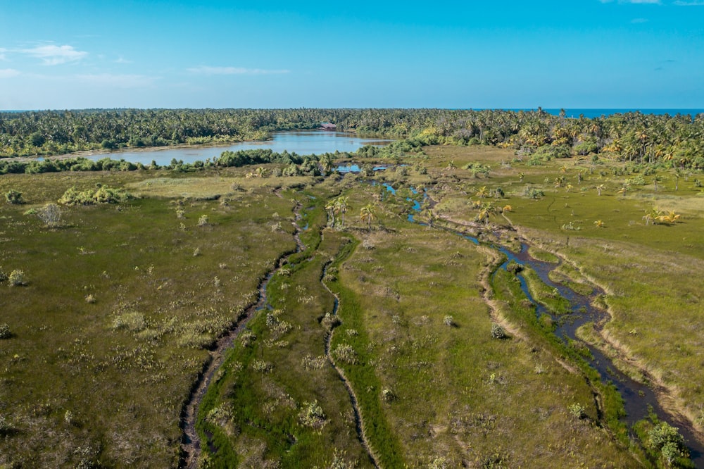 an aerial view of a river running through a lush green field