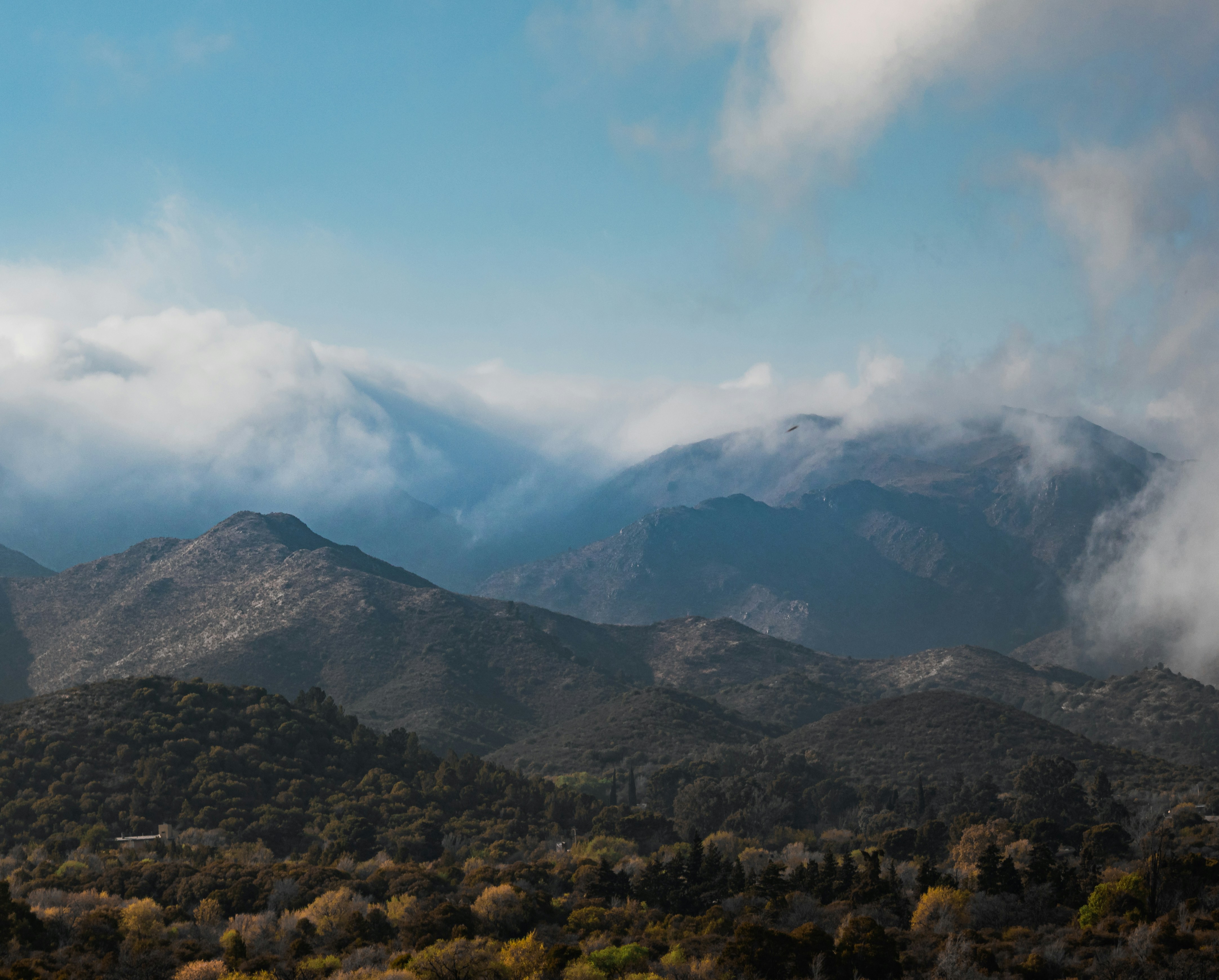 Photo by nature_of_the_experiment