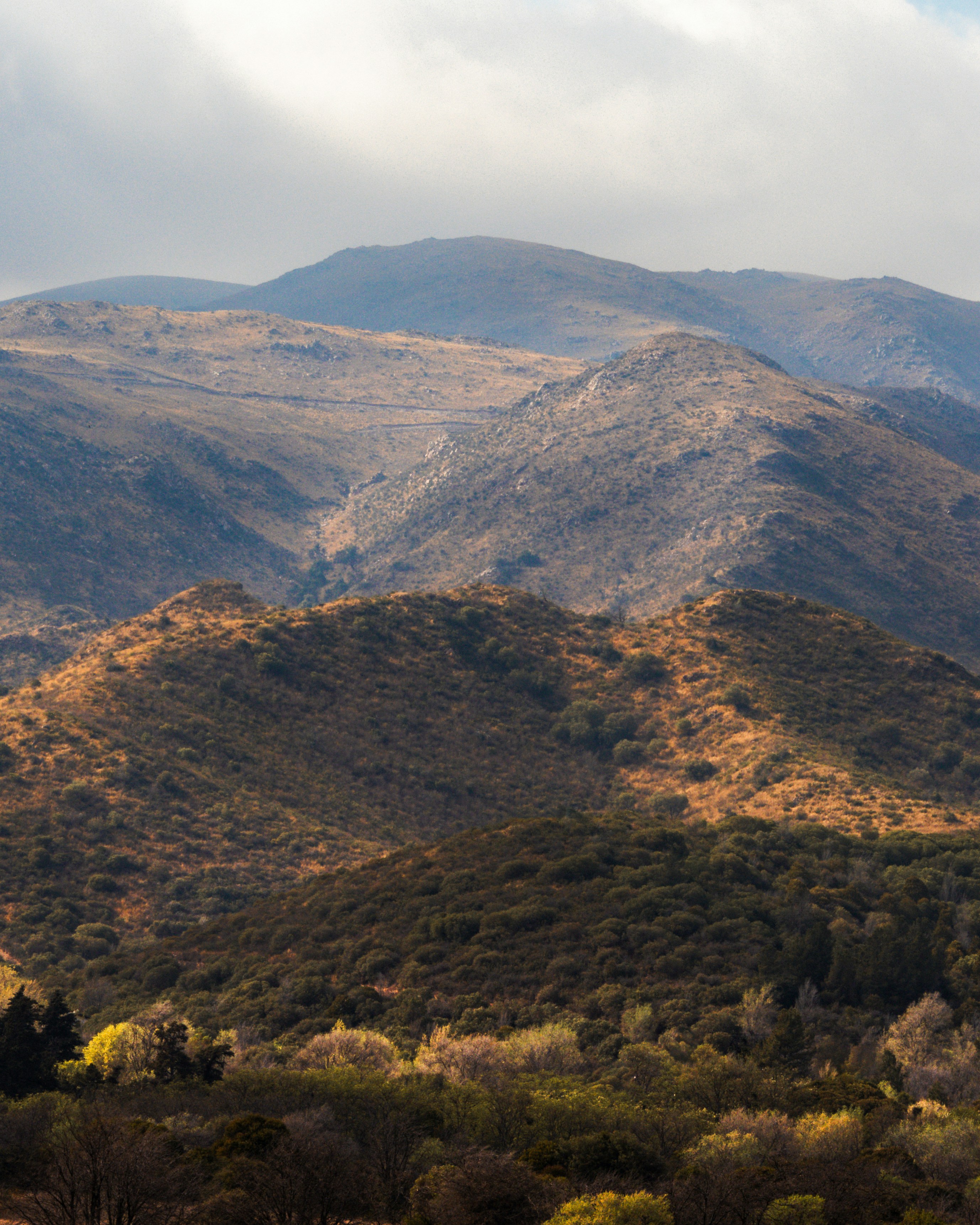 Photo by nature_of_the_experiment