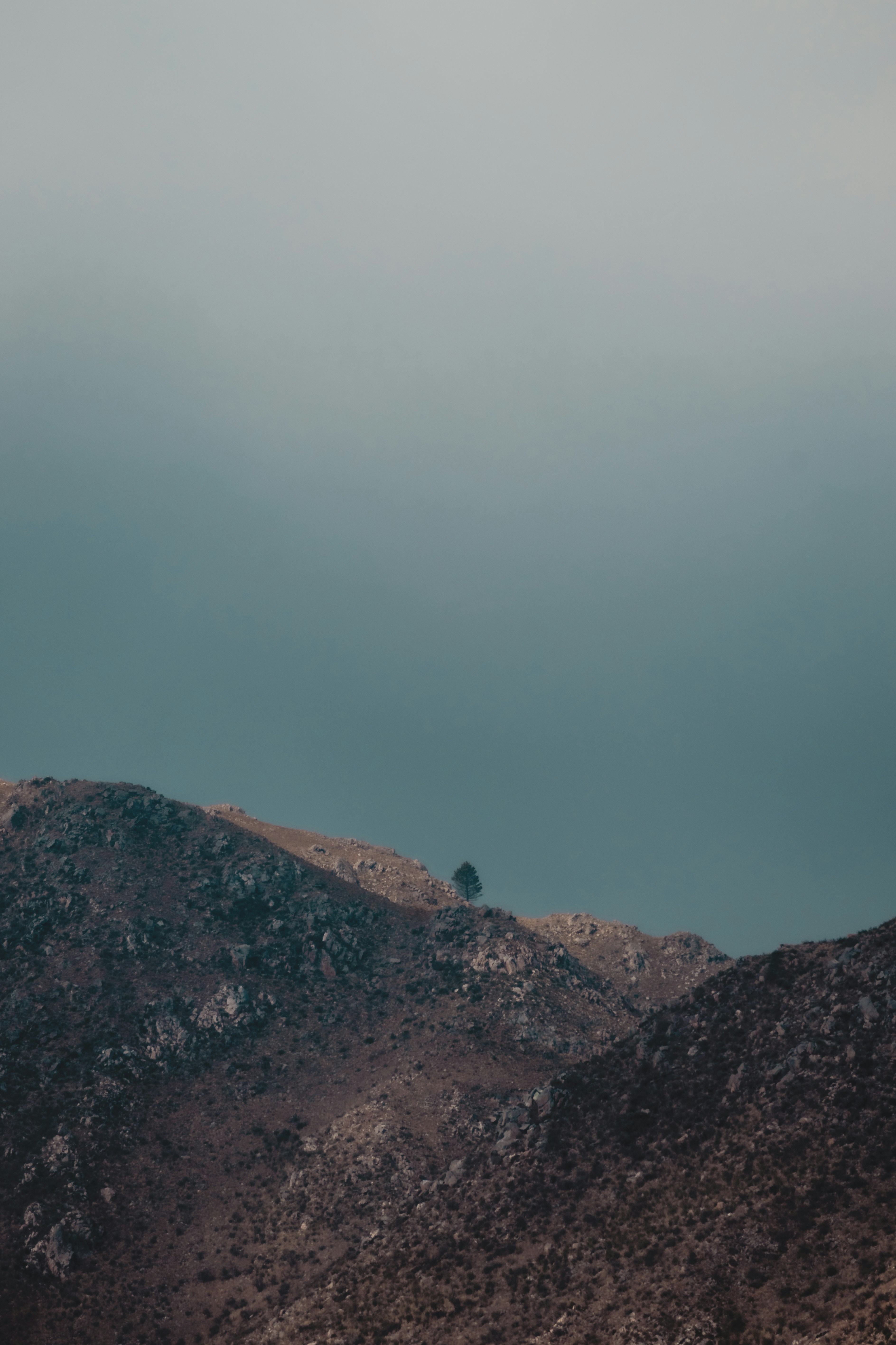 Photo by nature_of_the_experiment