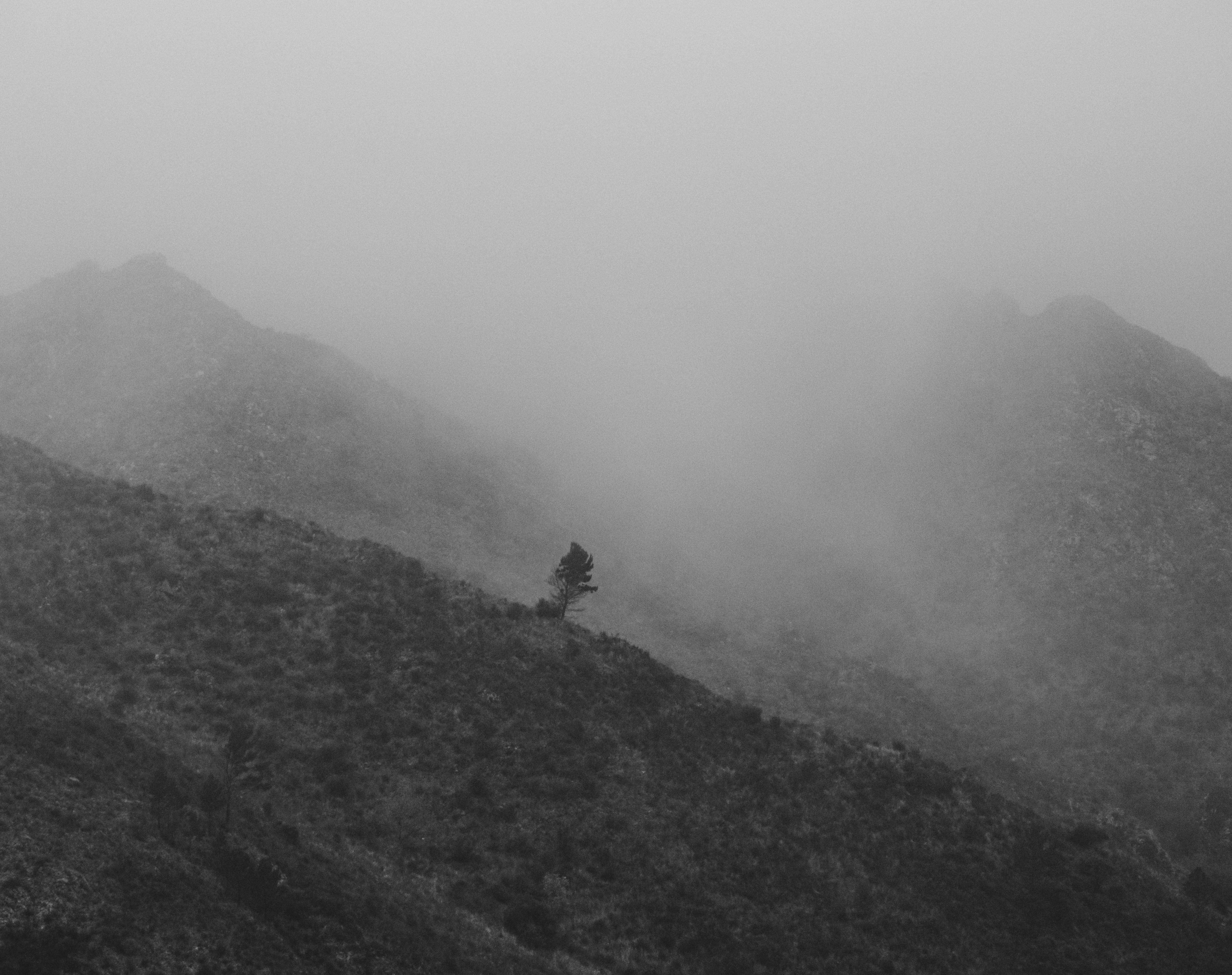 Photo by nature_of_the_experiment