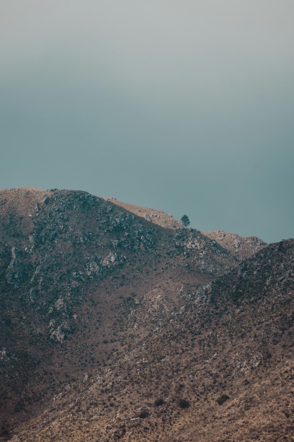 a lone tree on the top of a mountain