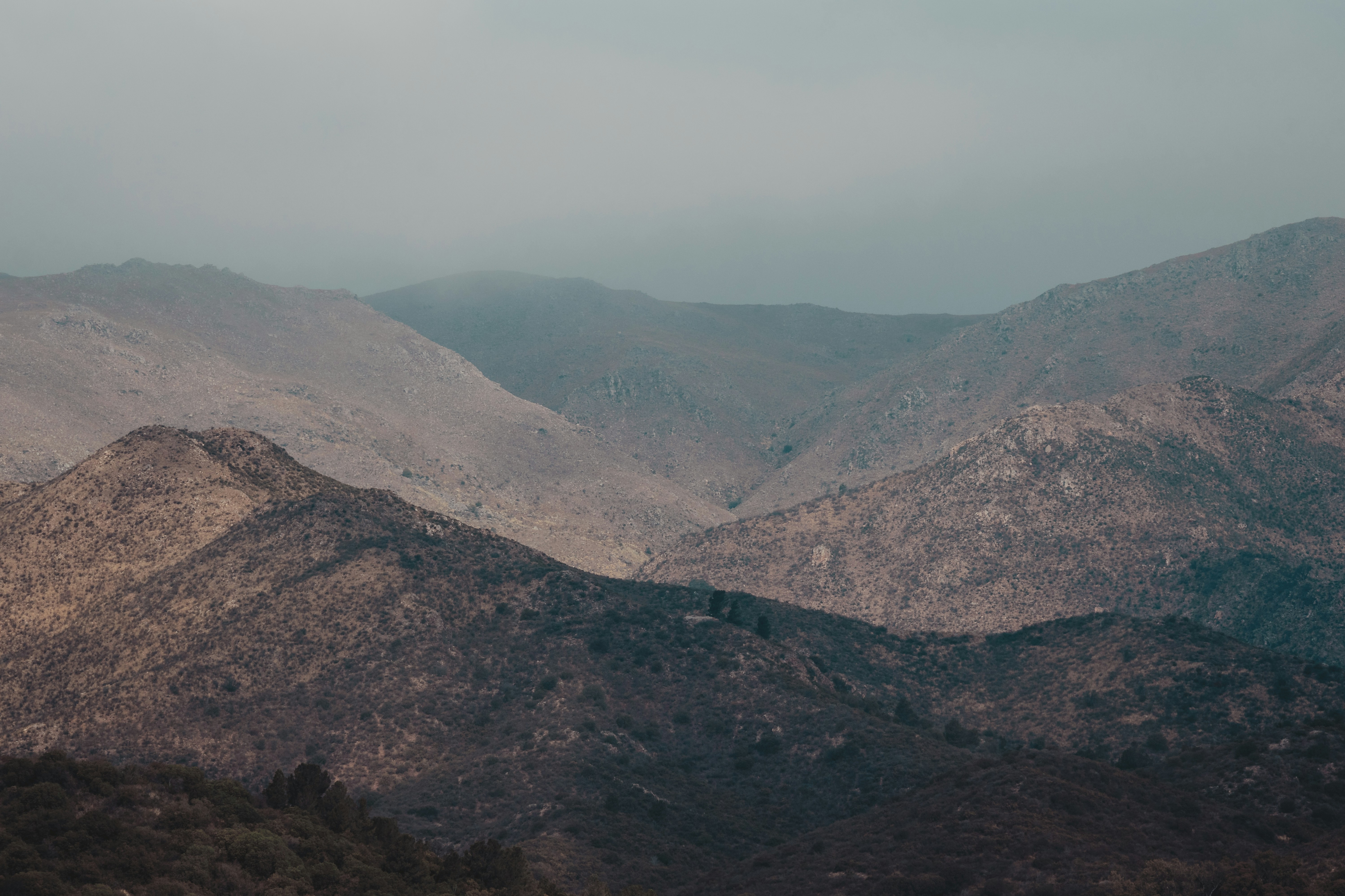 Photo by nature_of_the_experiment