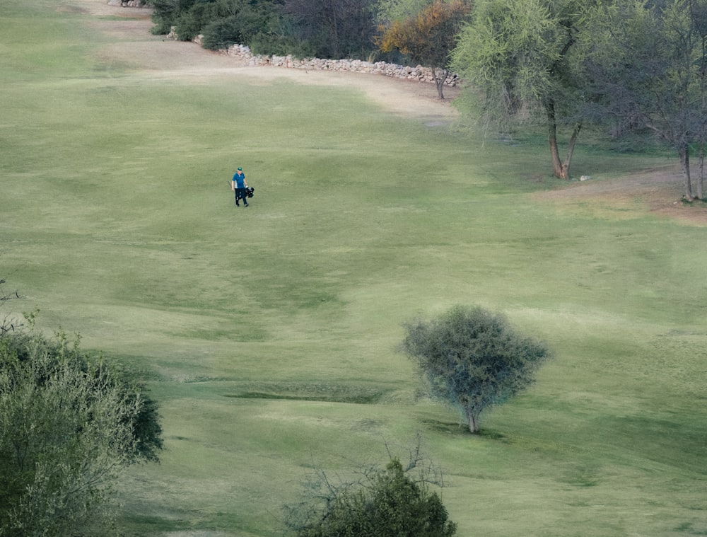 a man riding a horse across a lush green field