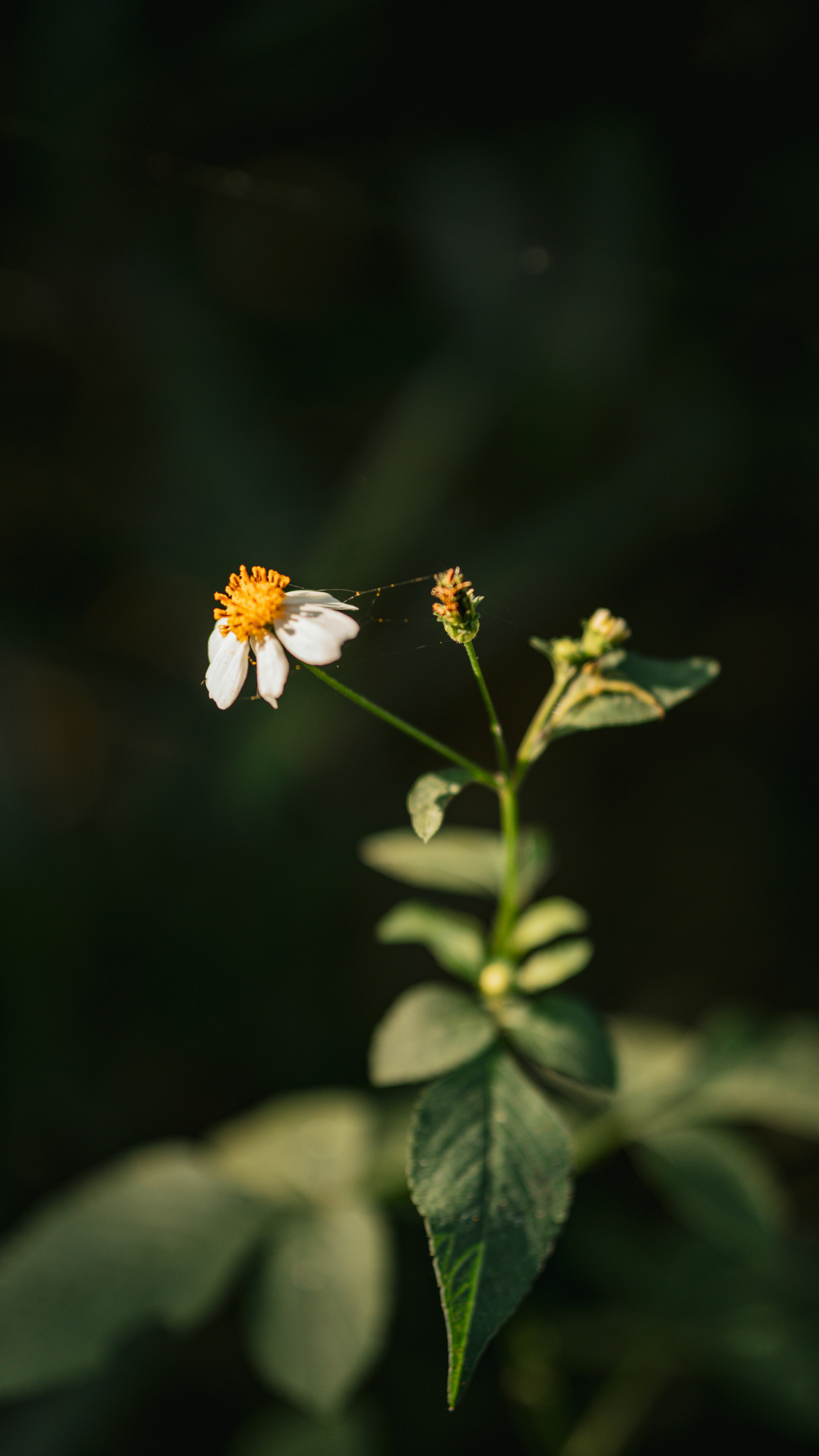 Photo by elymartinez