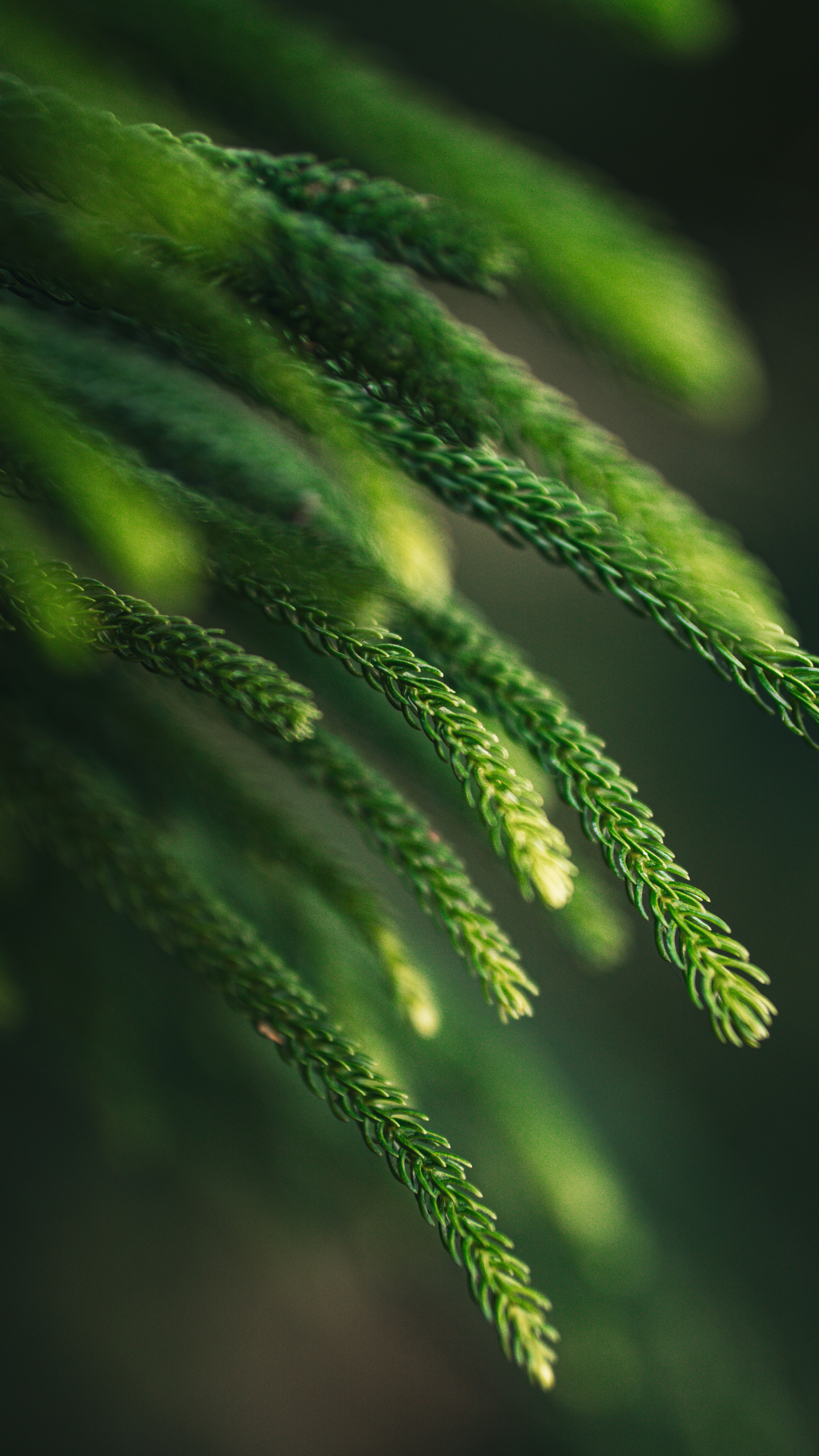 Photo by elymartinez