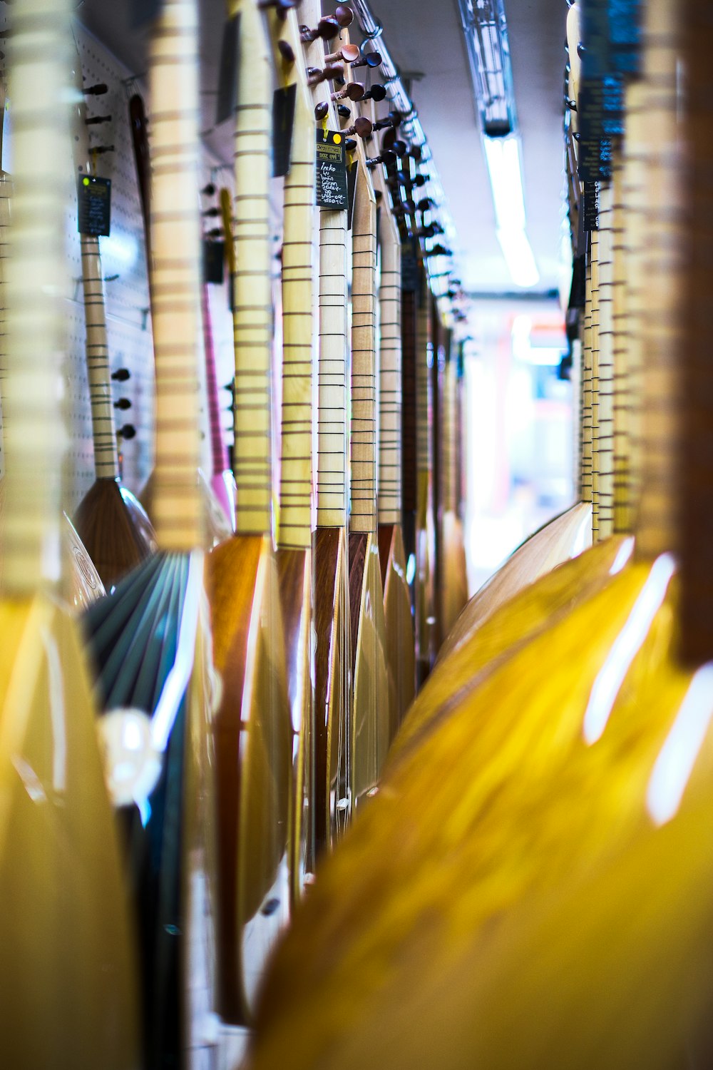 a row of surfboards sitting next to each other