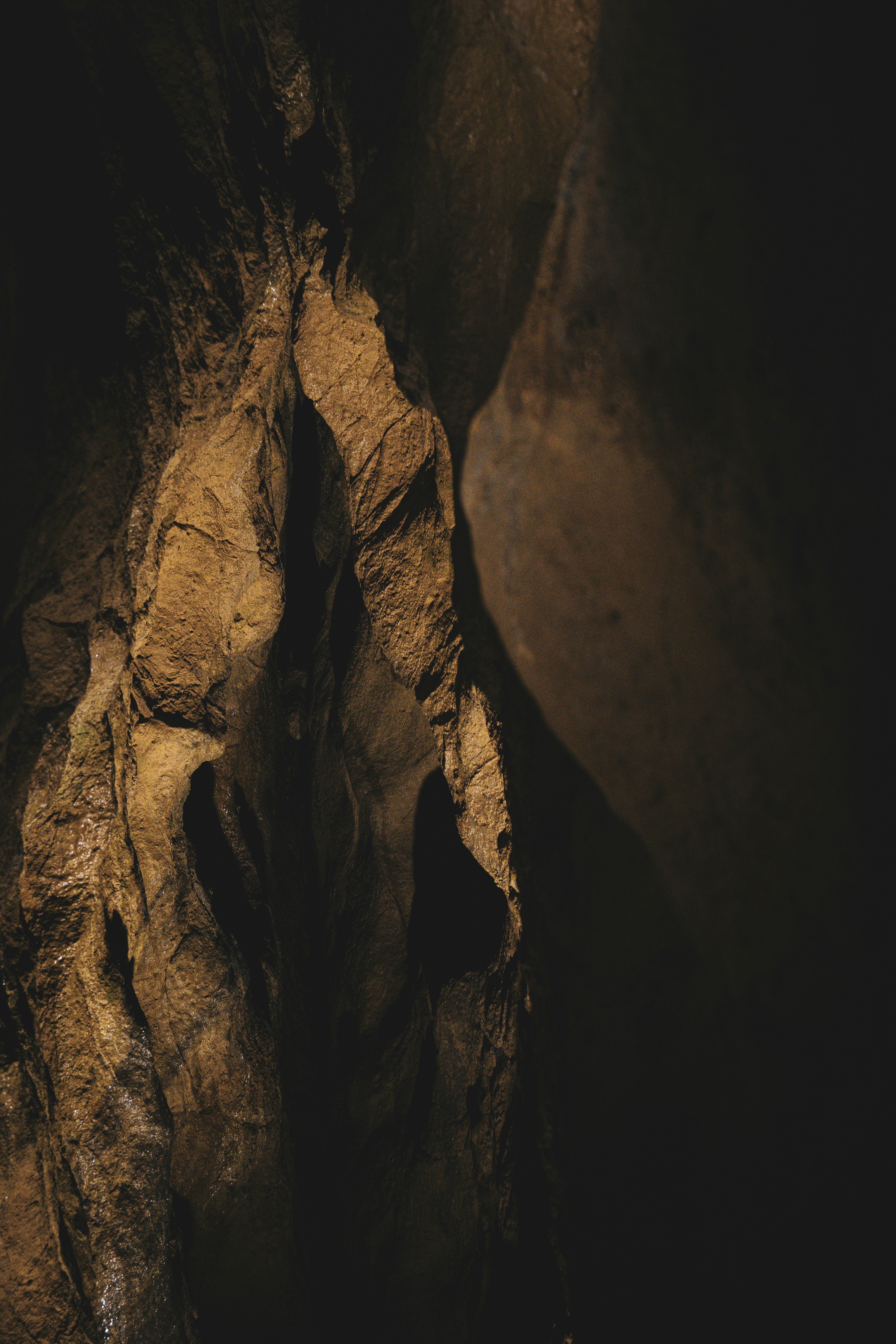 The Psychological Breaking Point (image credits: unsplash)