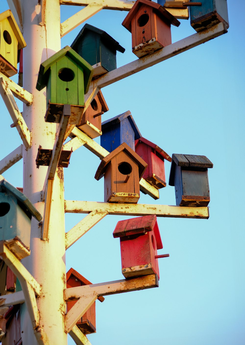 un montón de casas para pájaros en lo alto de un poste