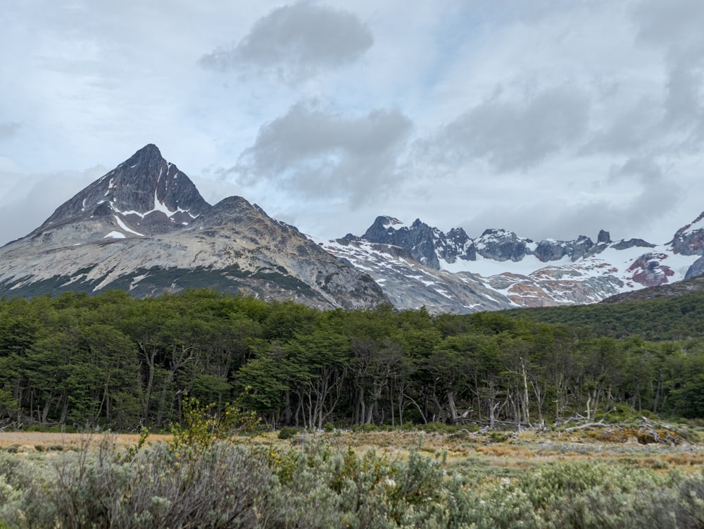 a mountain range covered in snow and trees