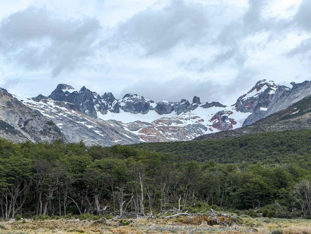 a mountain range covered in snow and trees