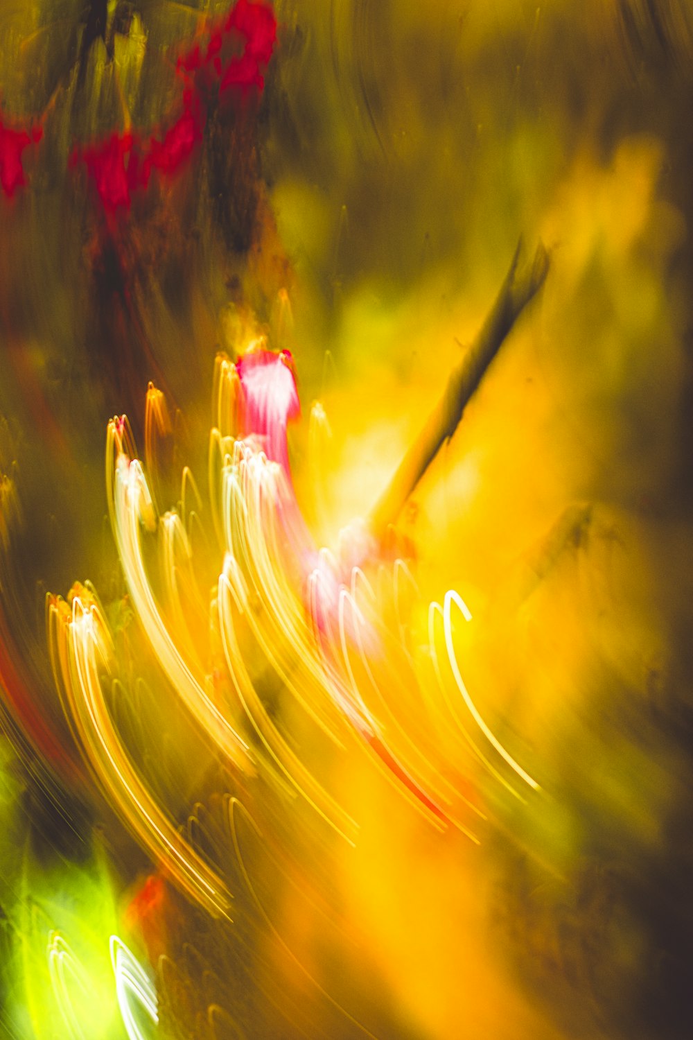 a blurry photo of a flower with red and yellow flowers