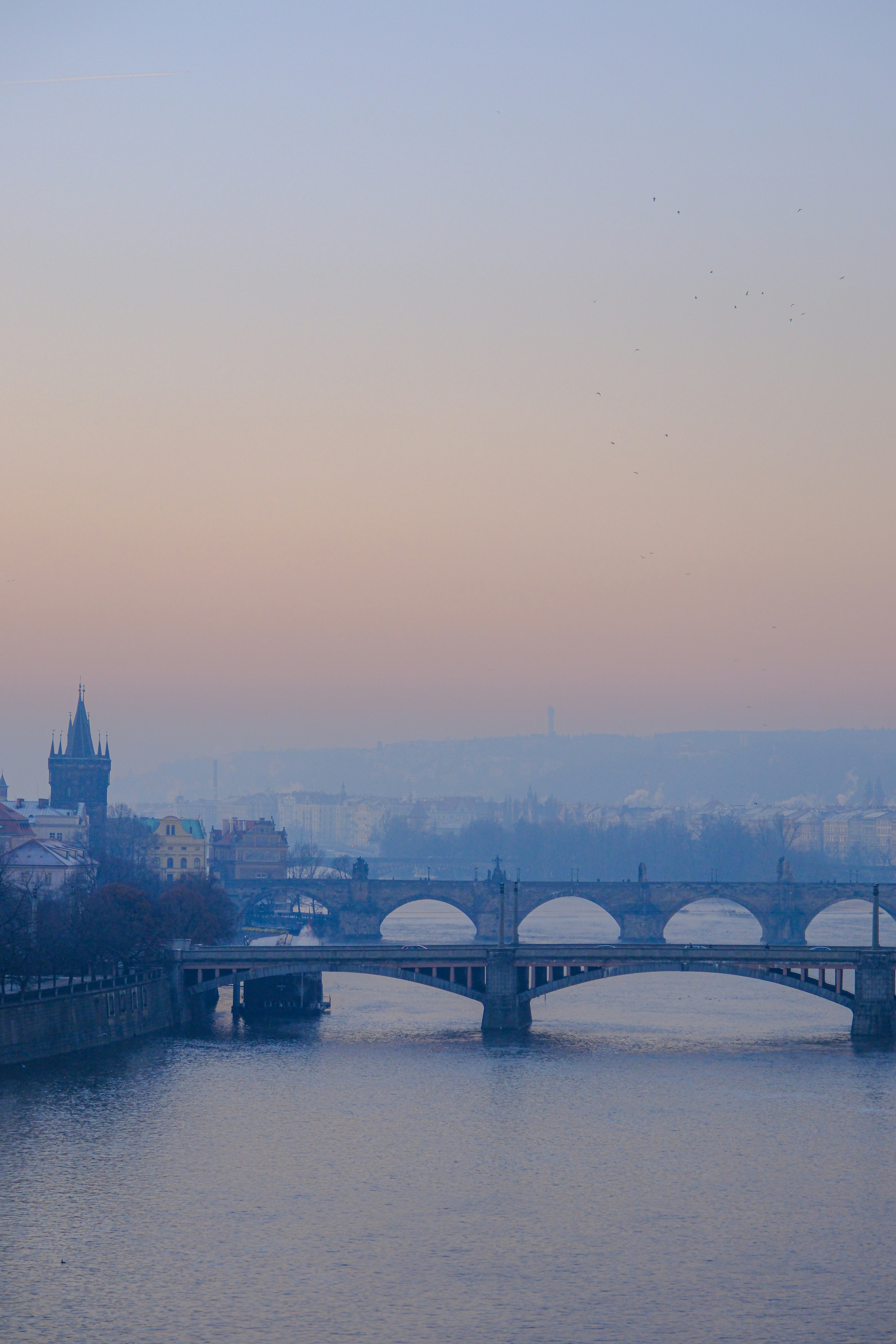 Photo by cestmoisheedy