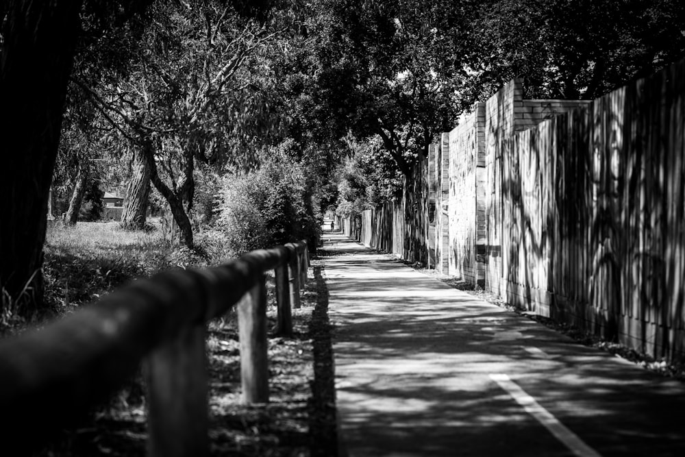 a black and white photo of a tree lined street