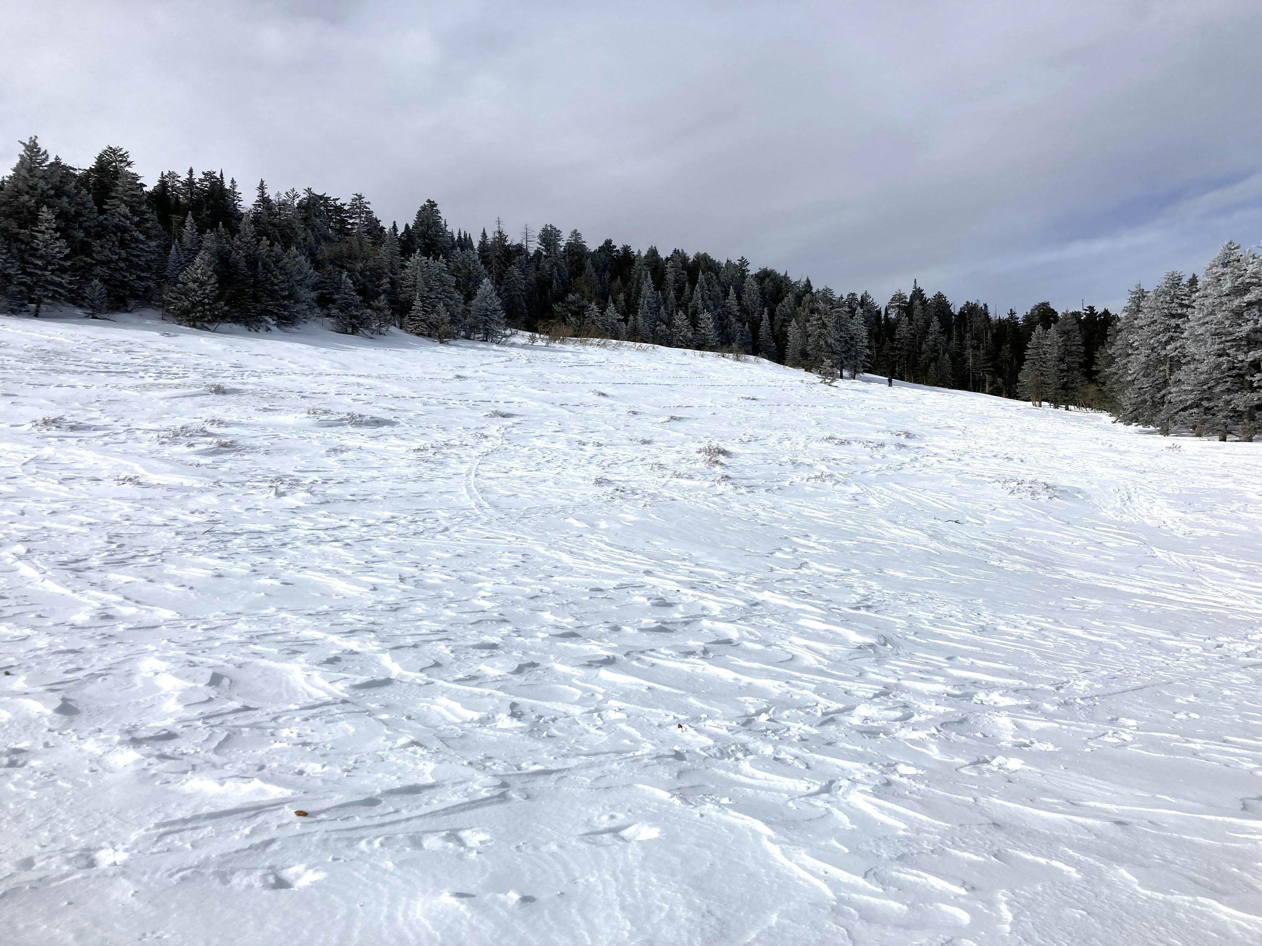 a person riding skis on a snowy surface, 