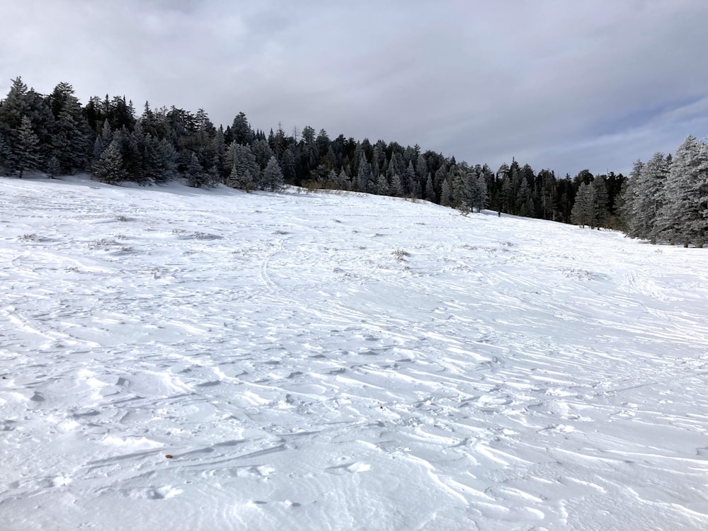 a person riding skis on a snowy surface