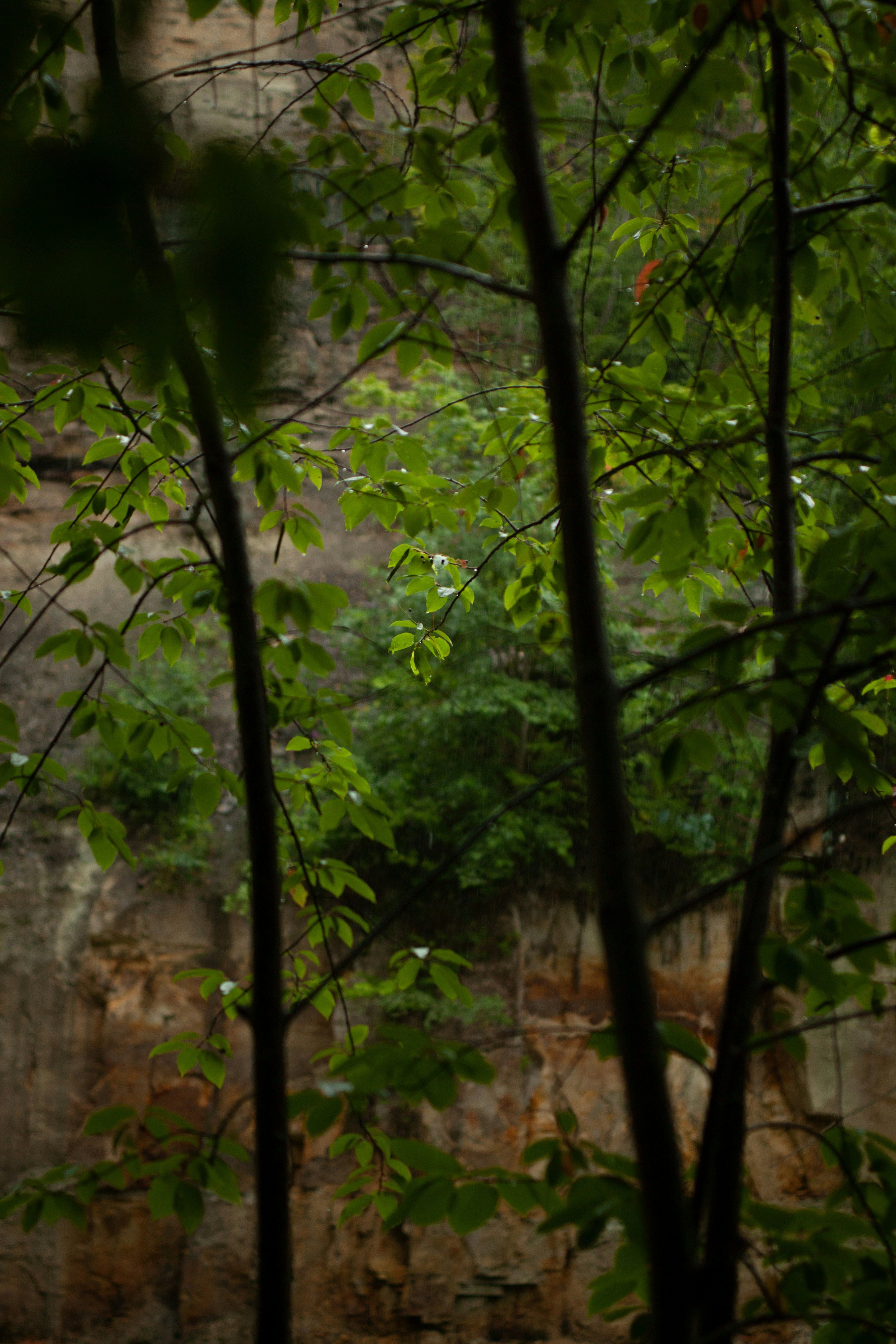 Photo by haotichnost