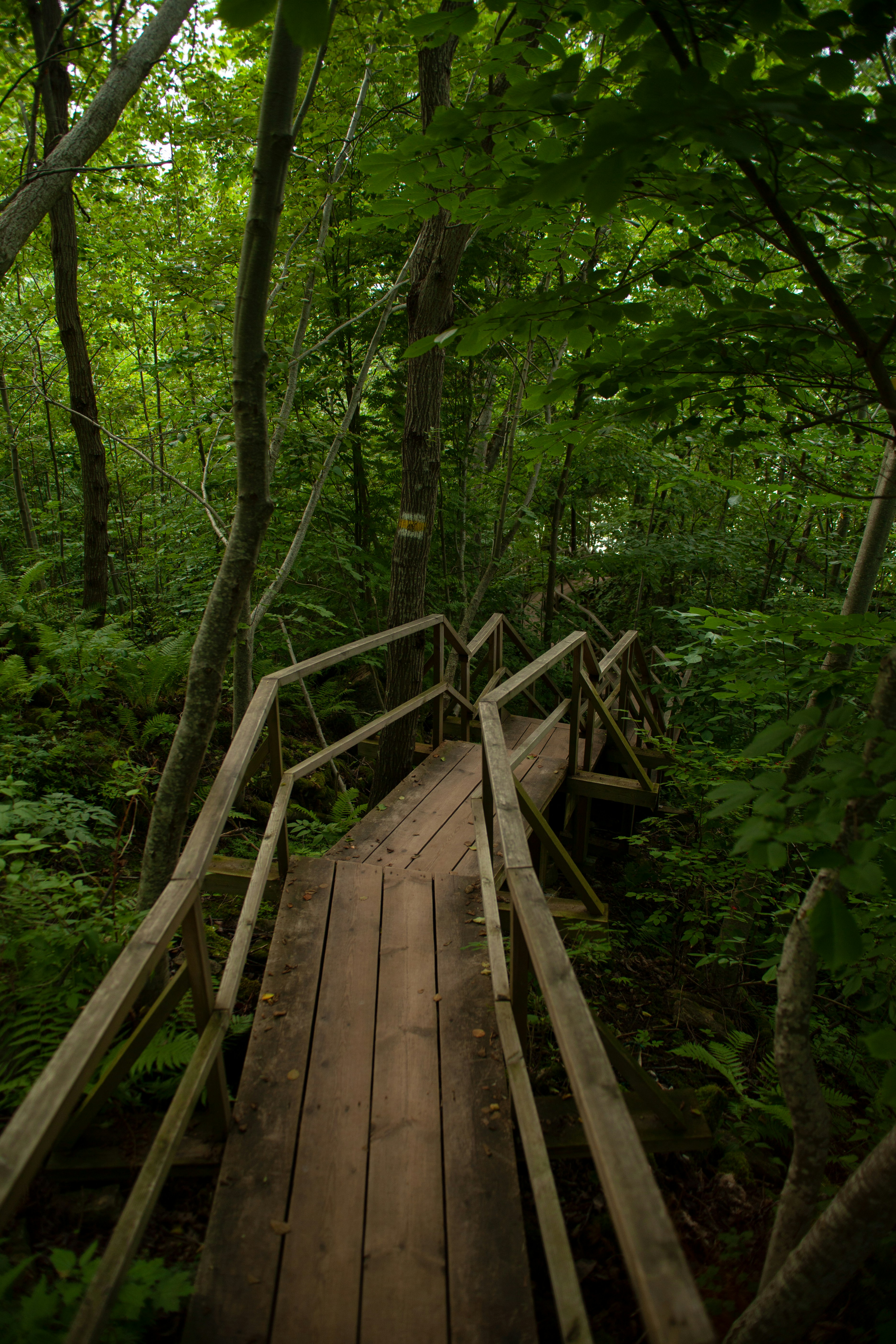 Photo by haotichnost