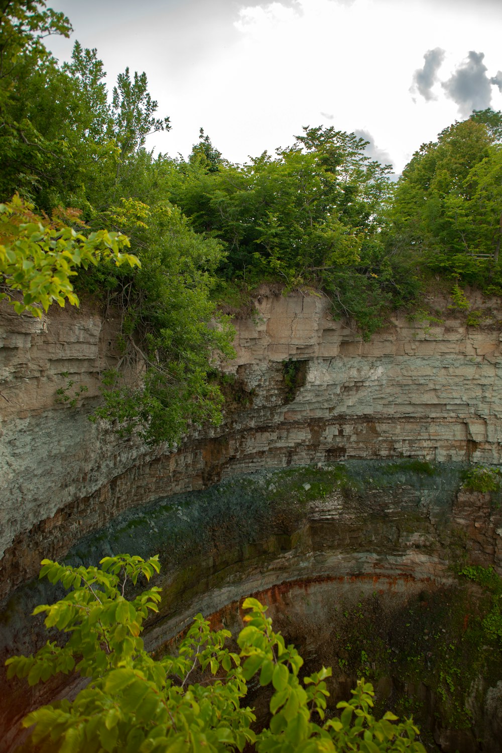 a view of a cliff with trees growing on it