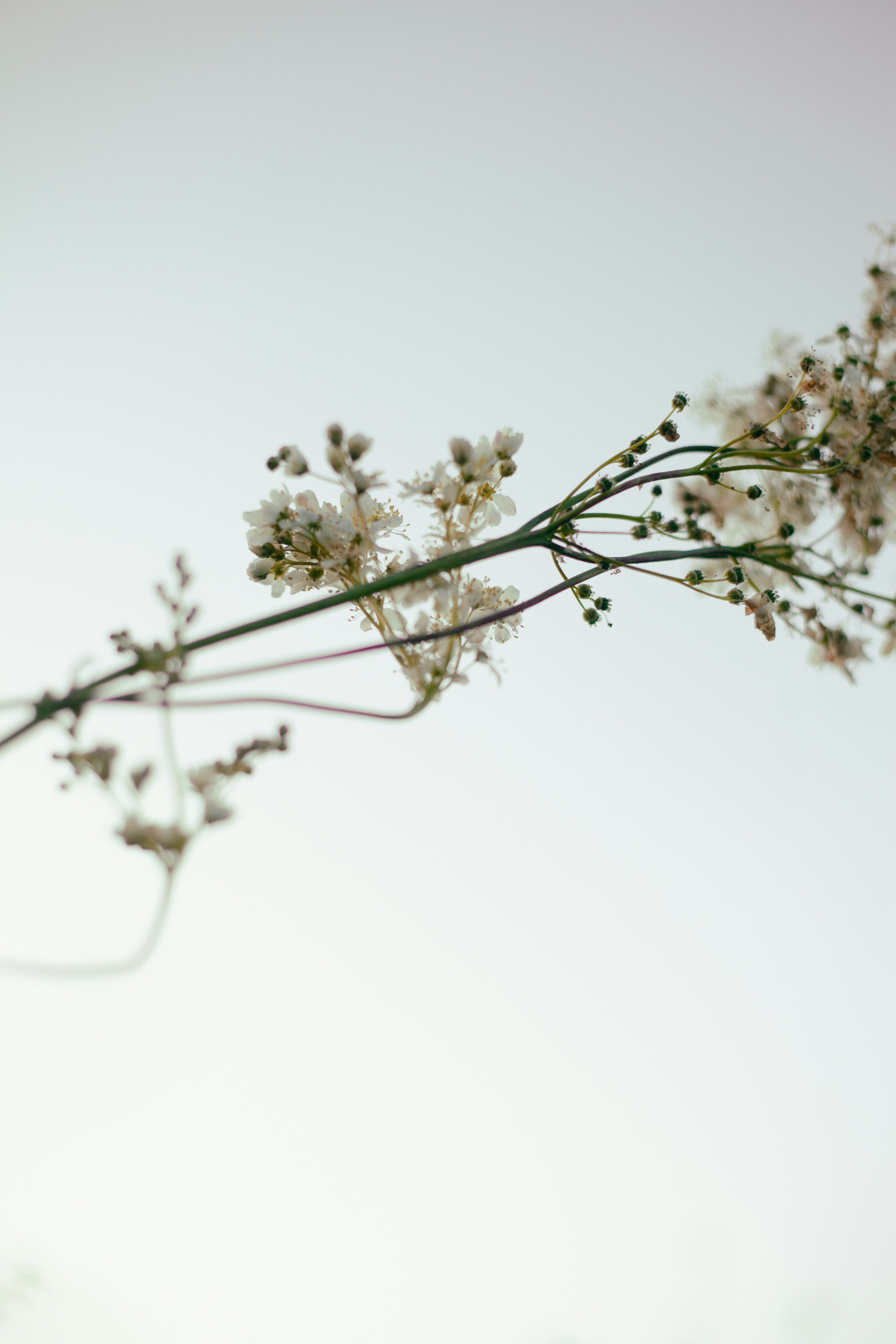 Photo by haotichnost