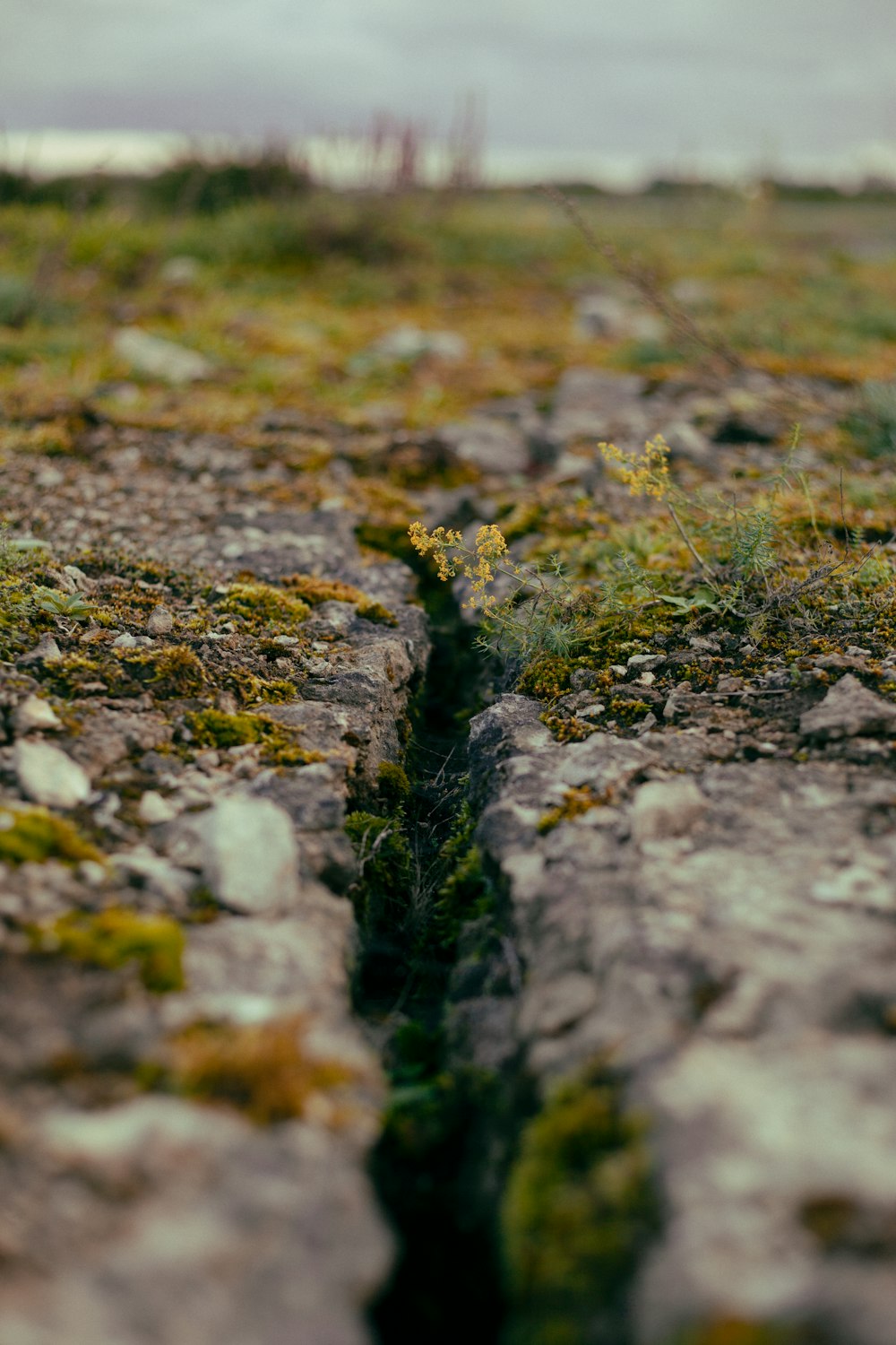 a close up of a crack in the ground