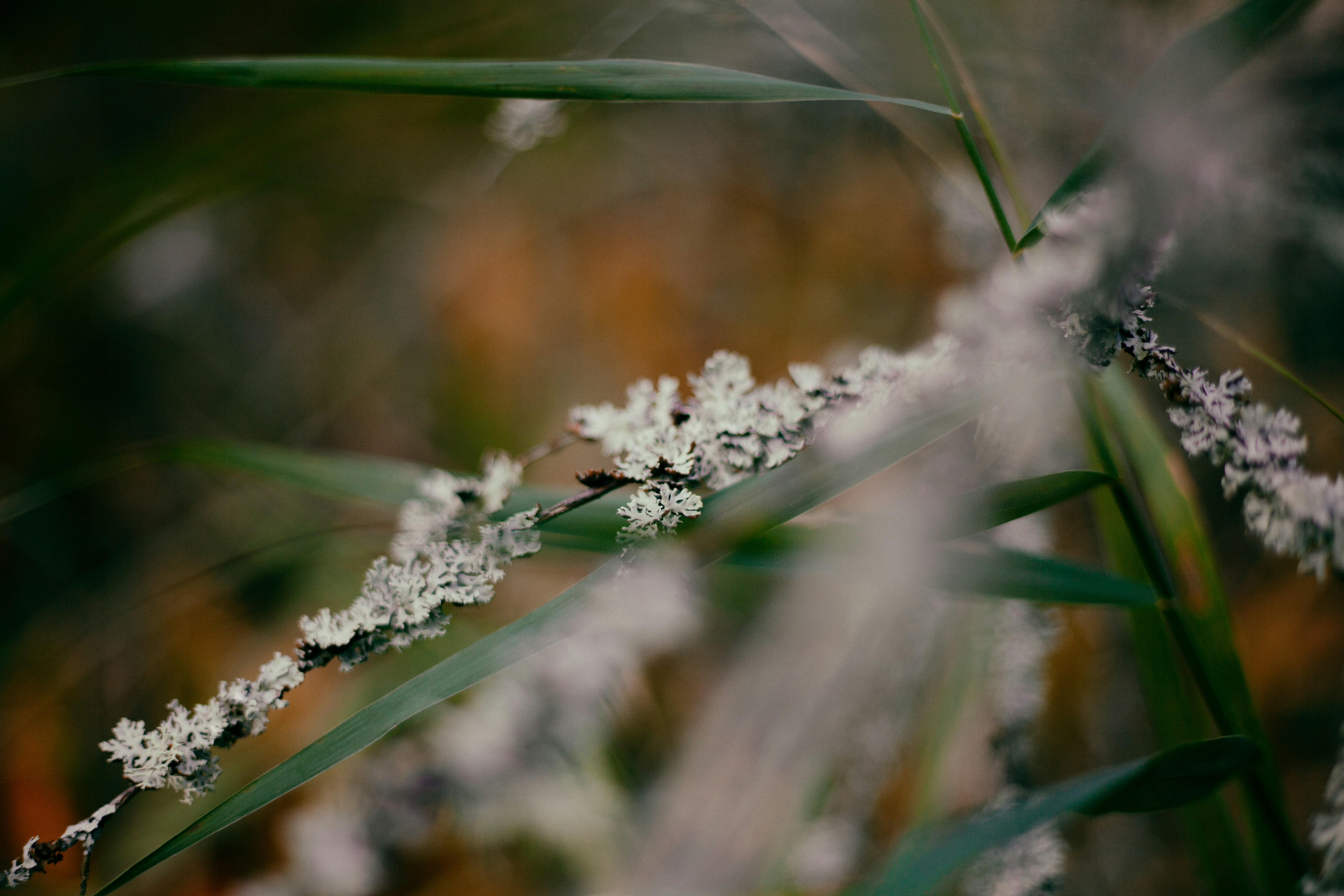 Photo by haotichnost