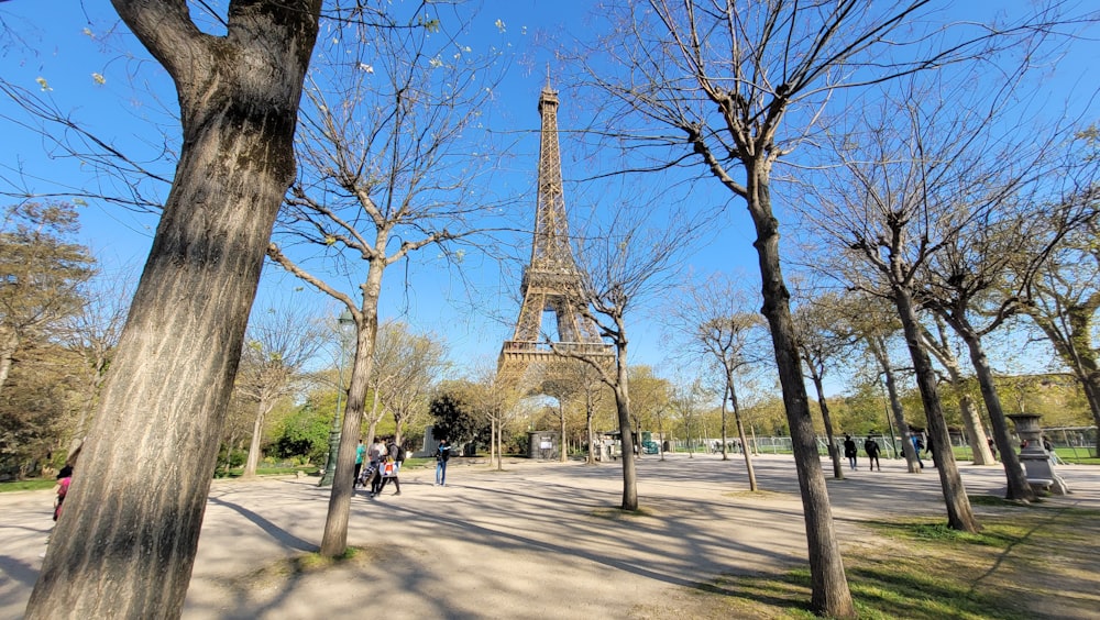 a view of the eiffel tower through the trees