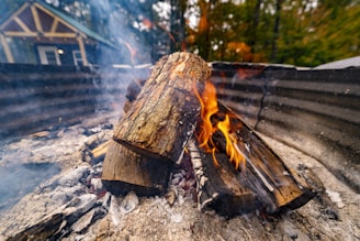 a close up of a fire in a fire pit