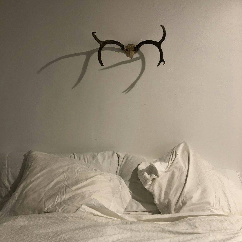 Une tête d’antilope est accrochée au mur au-dessus d’un lit