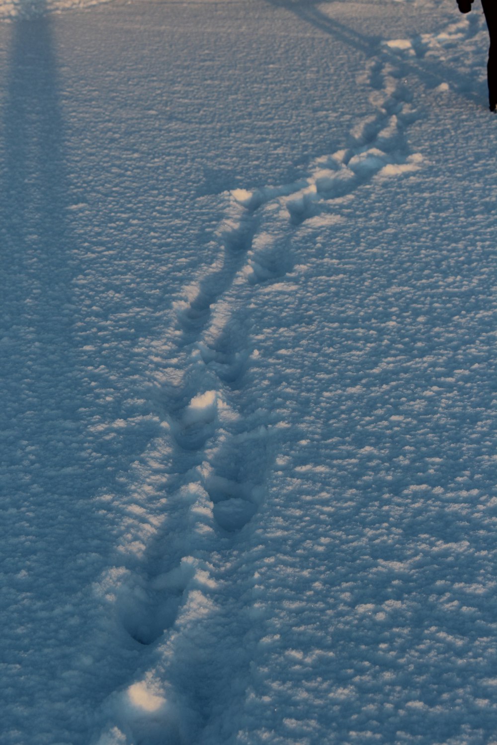 a person riding skis down a snow covered slope