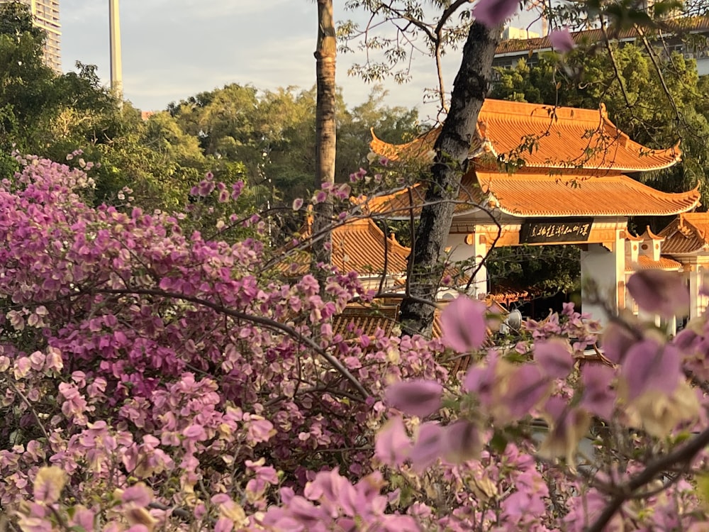 a view of a building through some flowers