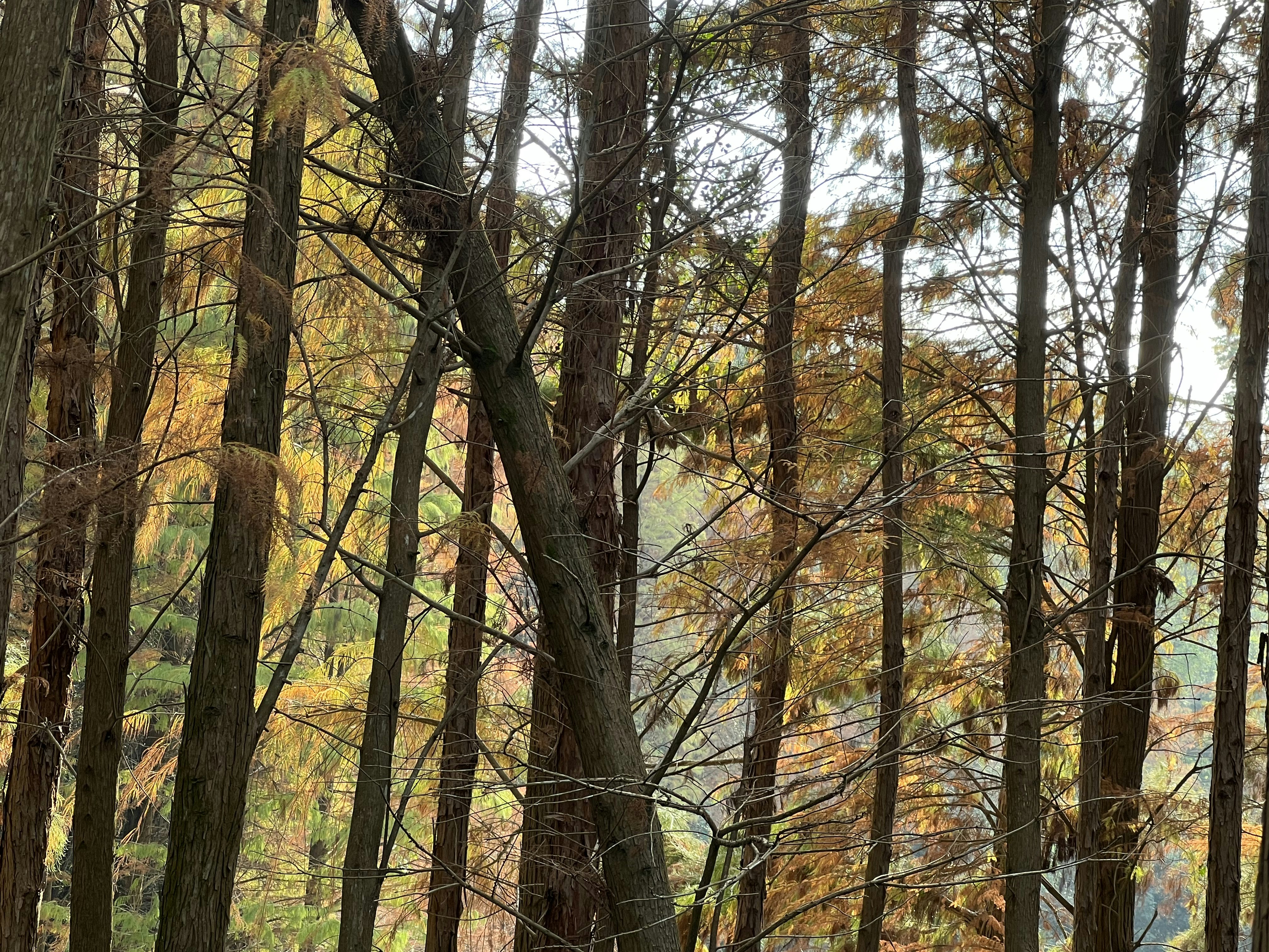 Photo by nefelibataniska