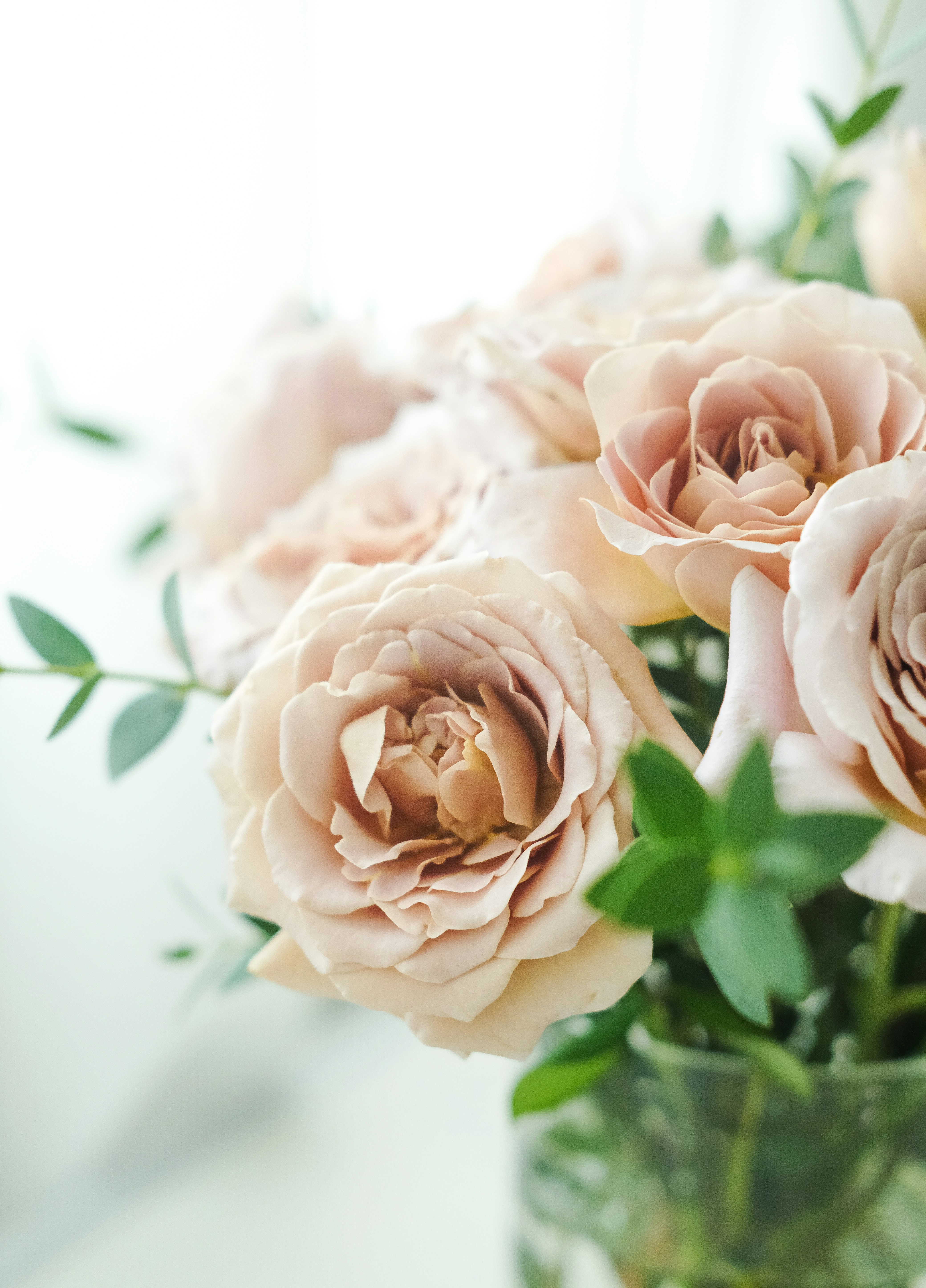 Photo by nganduong93