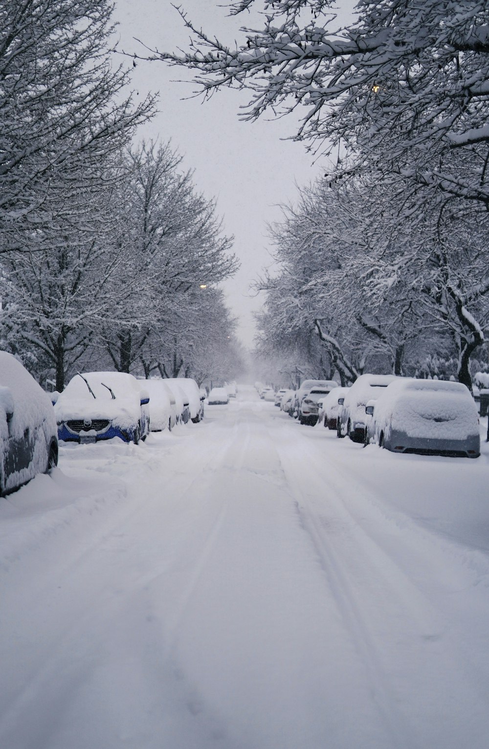a snow covered street lined with parked cars