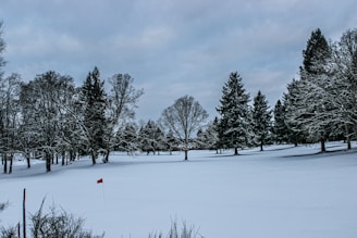 a snowy field with trees and a red flag