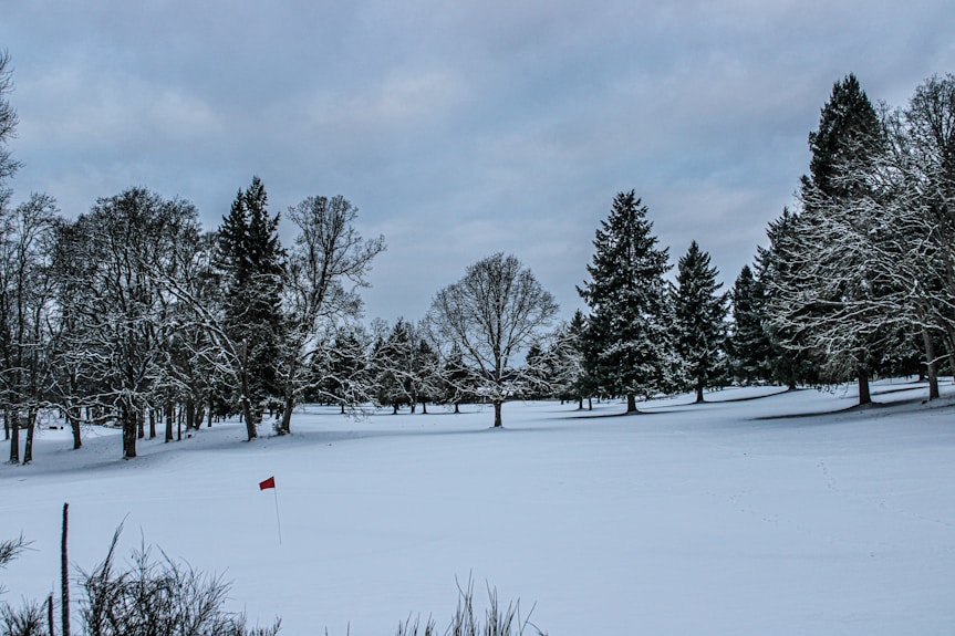 a snowy field with trees and a red flag