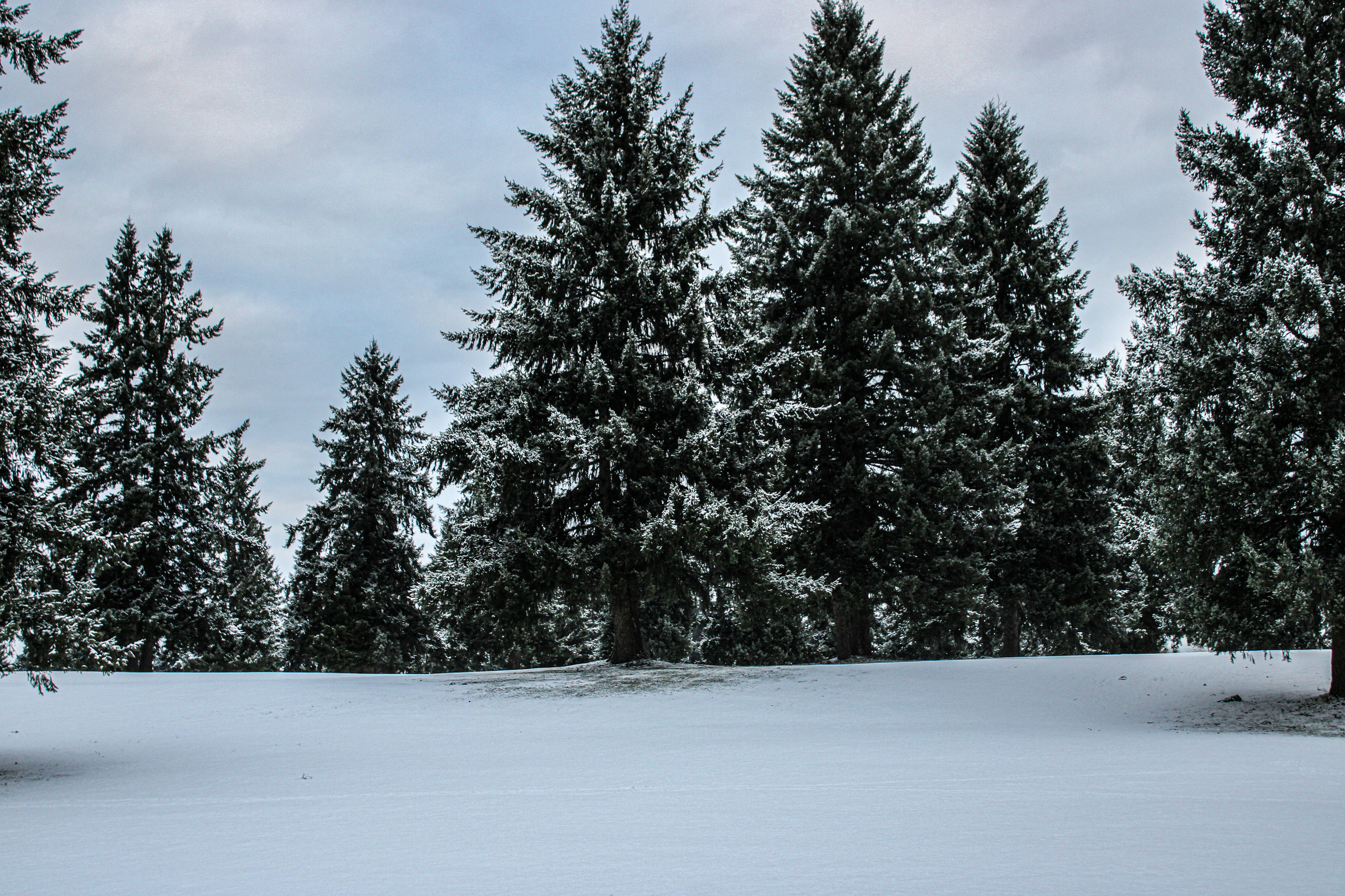 Photo by prphotography262