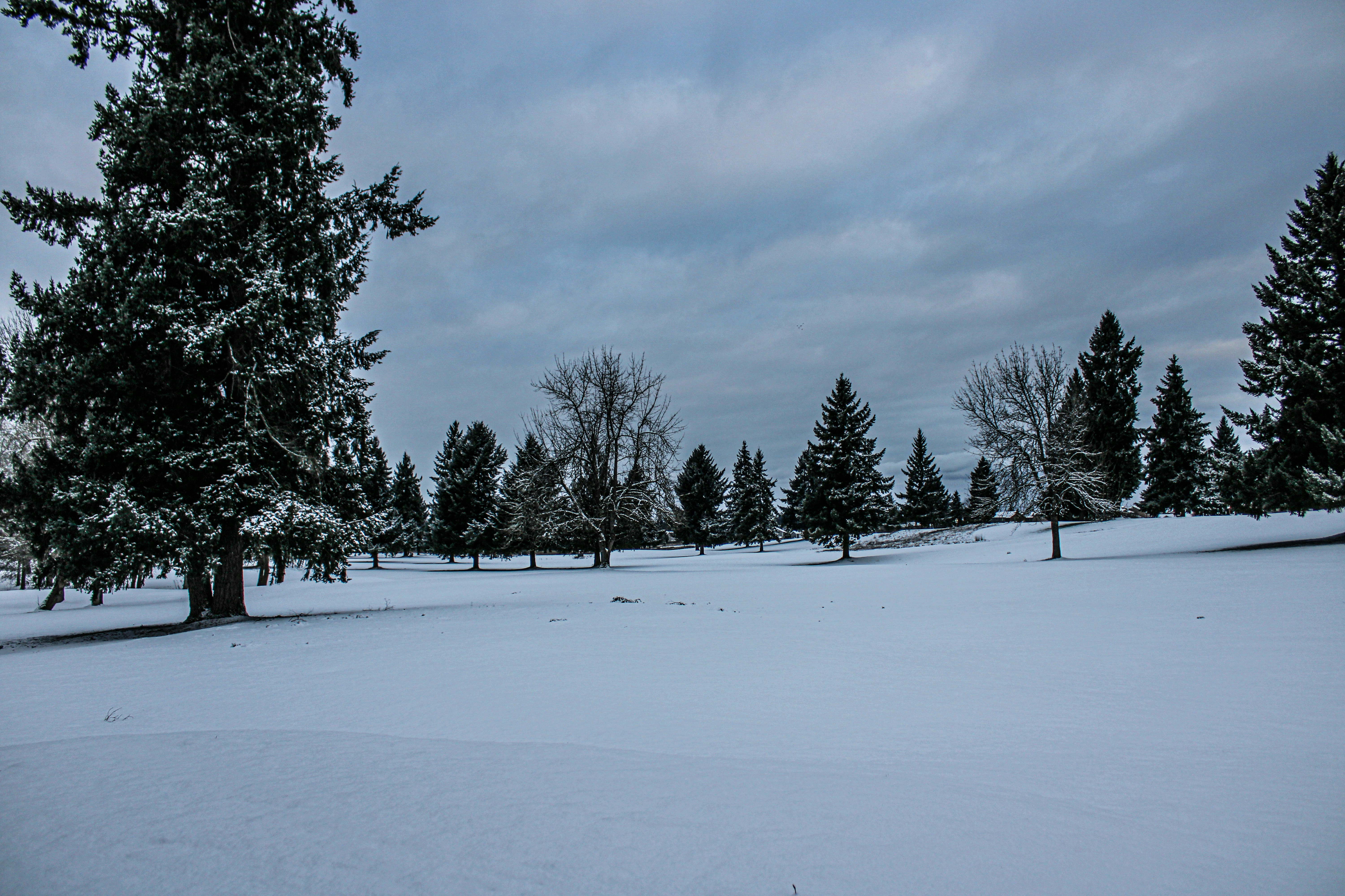 Photo by prphotography262