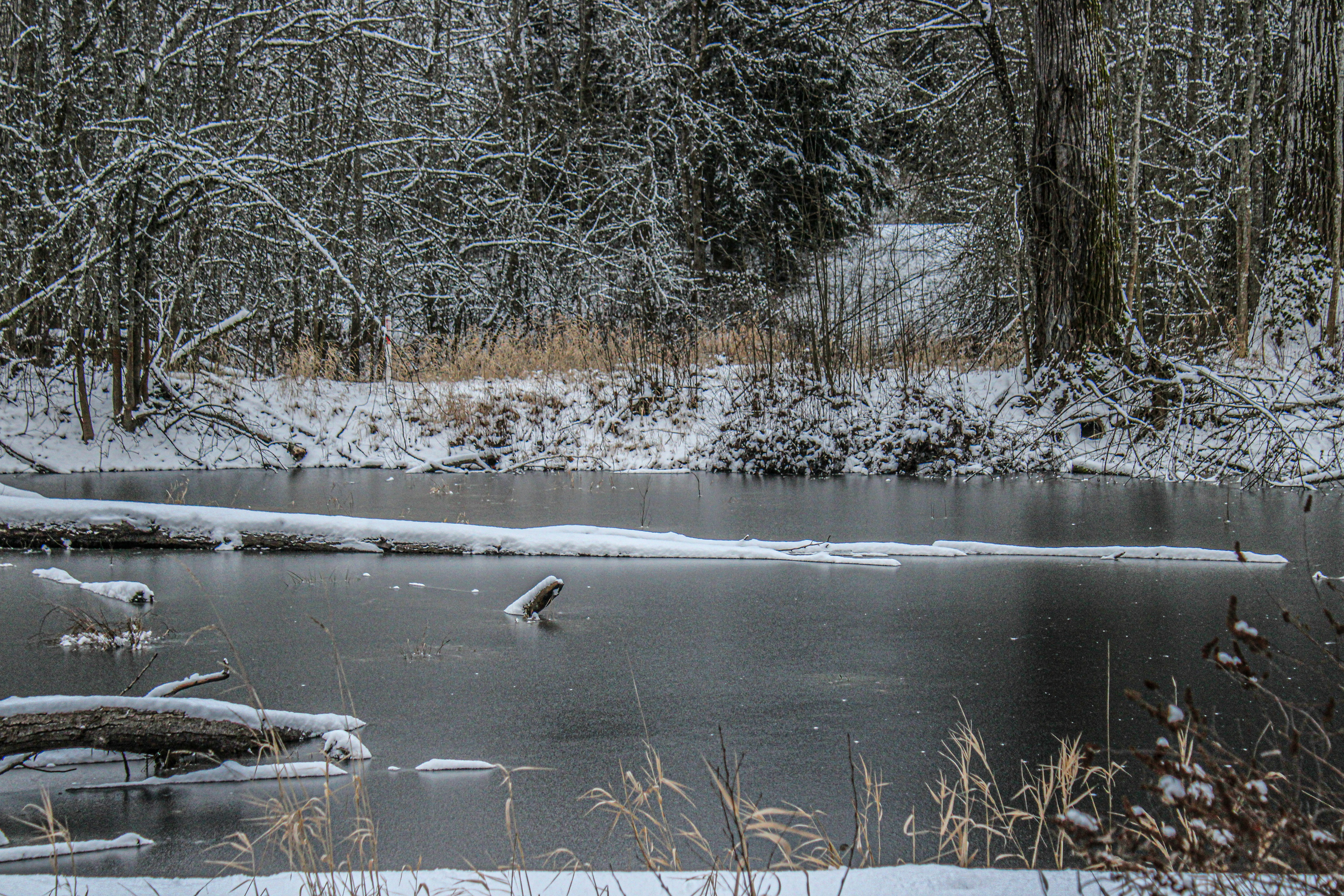 Photo by prphotography262