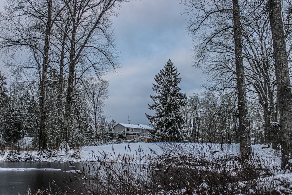 a snow covered field with trees and a house in the background